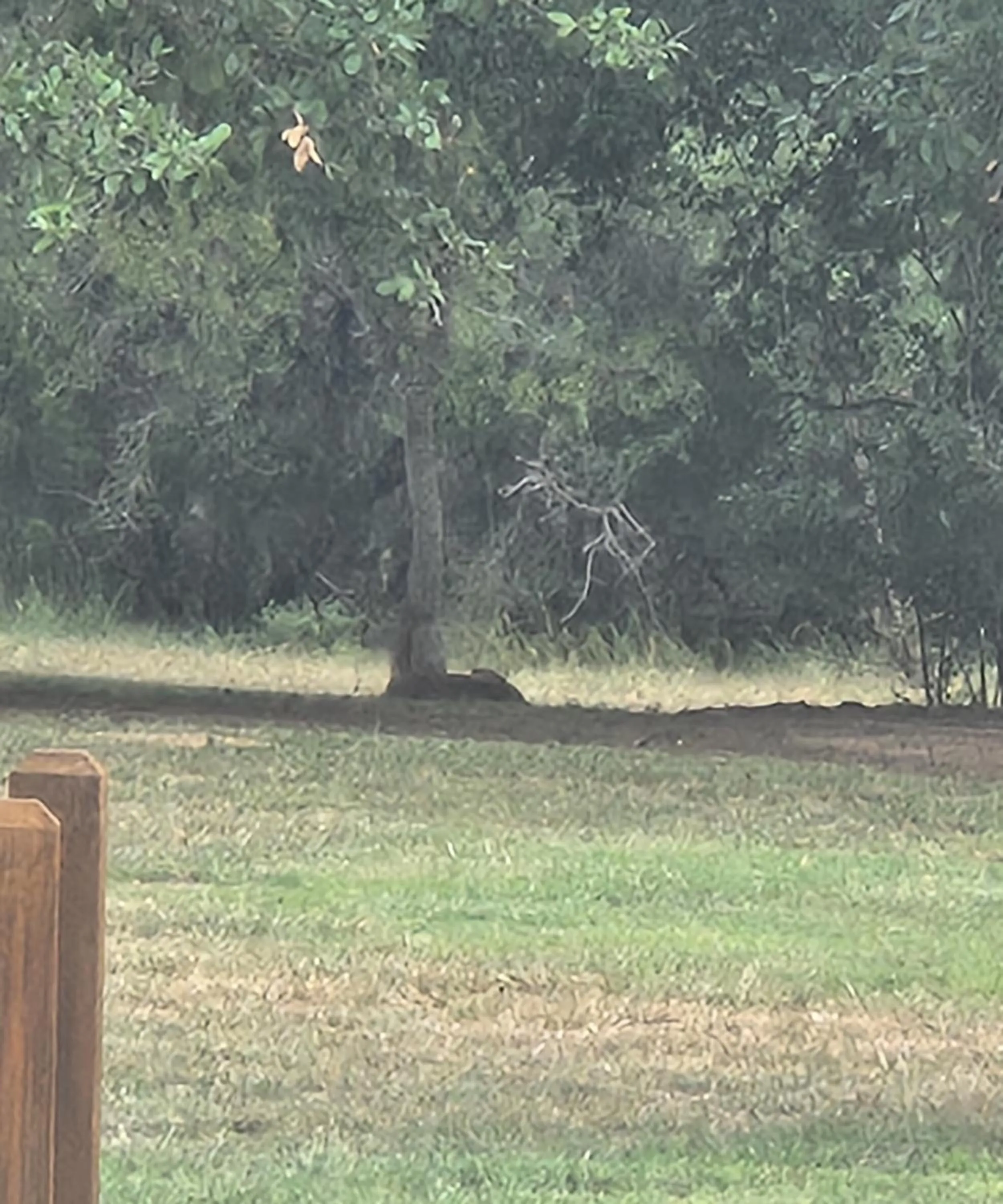Inner courtyard view in Al's Hideaway Cabin and RV Space, LLC