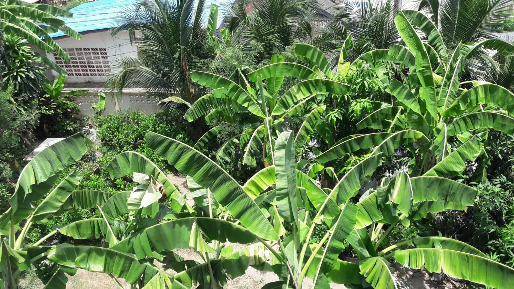 Asia's Beach Apartments