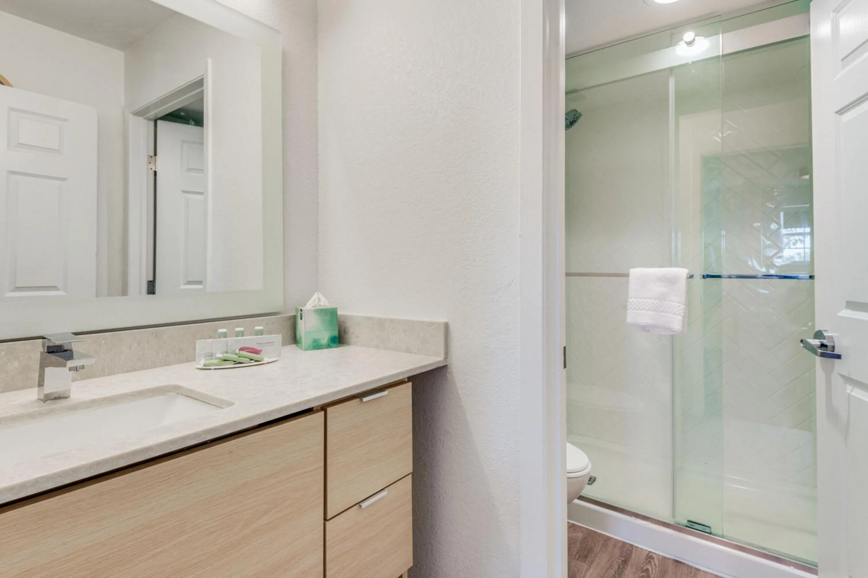 Bathroom in TownePlace Suites Dallas Arlington North