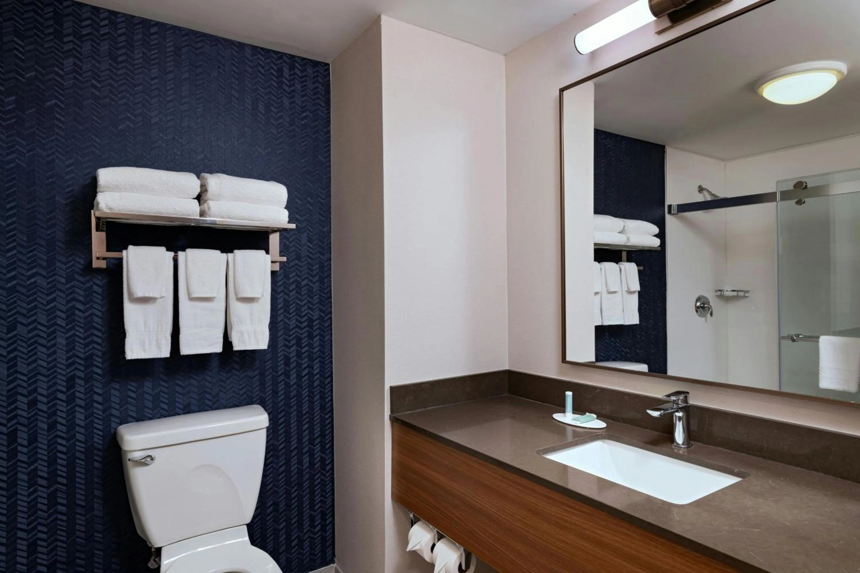 Bathroom in Fairfield Inn & Suites by Marriott Edison - South Plainfield