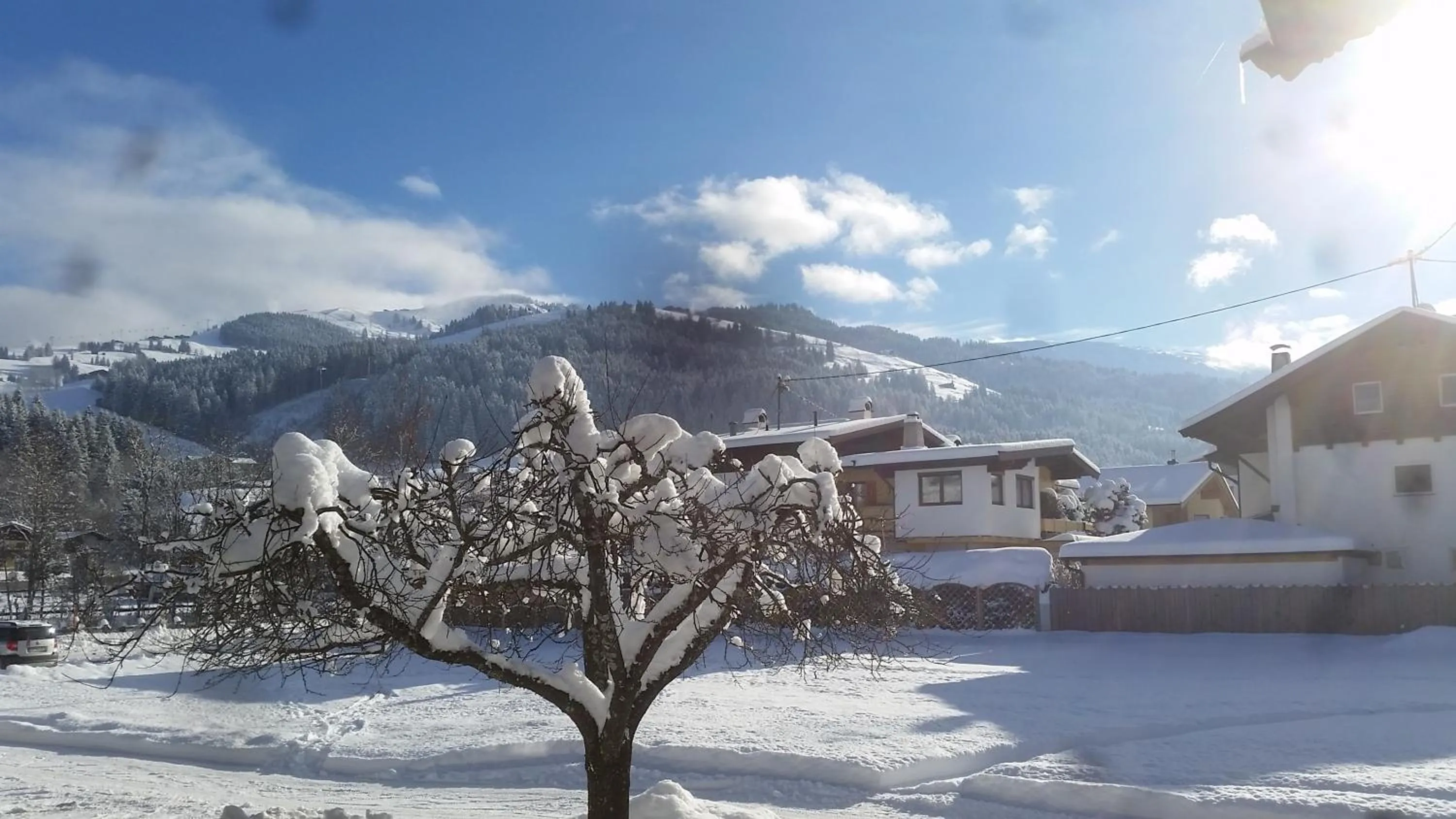 Natural landscape in Haus Sonnheim