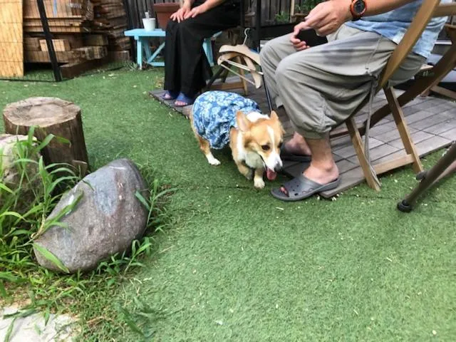 Destiny Inn Sakaiminato