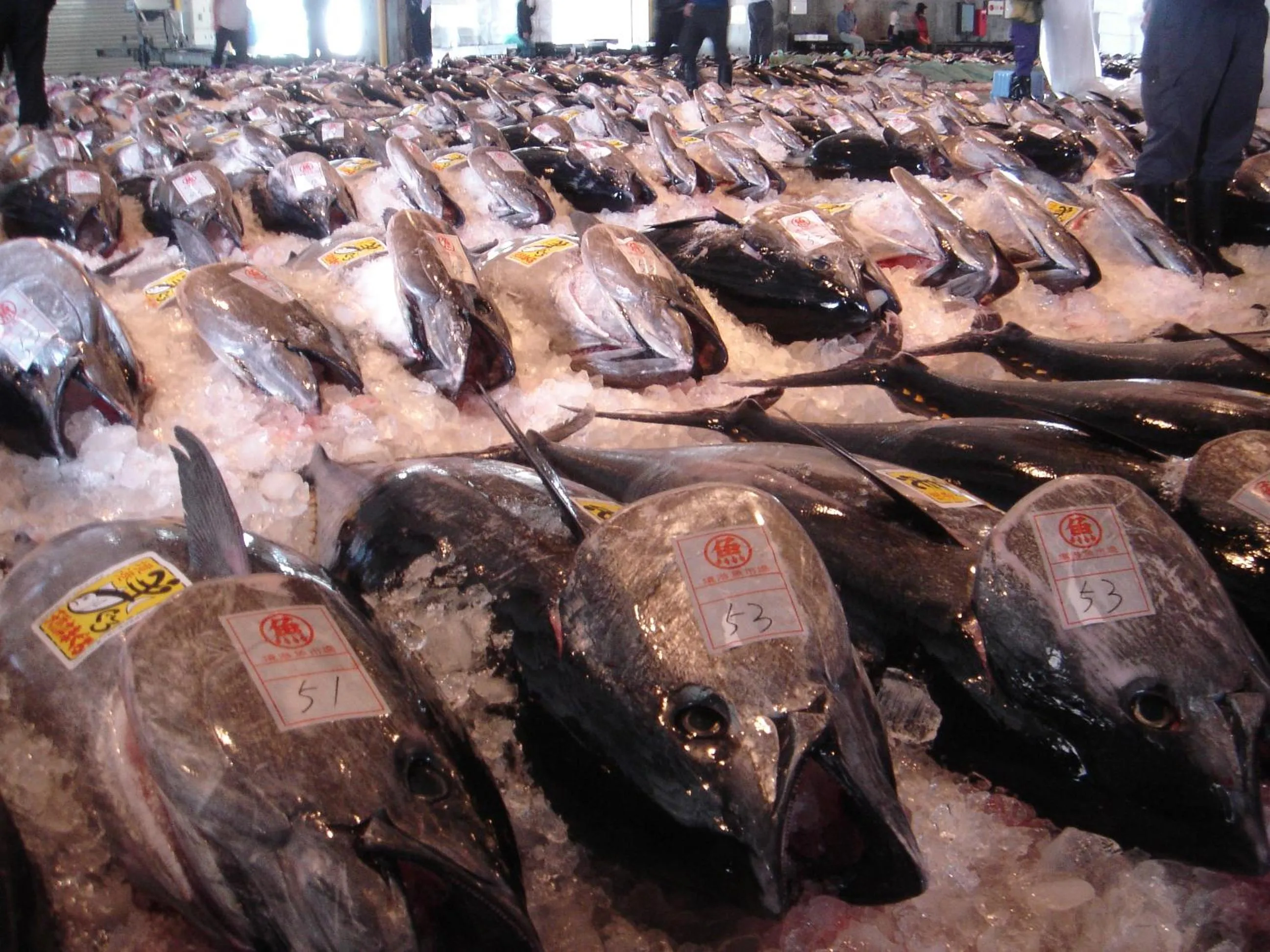 Destiny Inn Sakaiminato