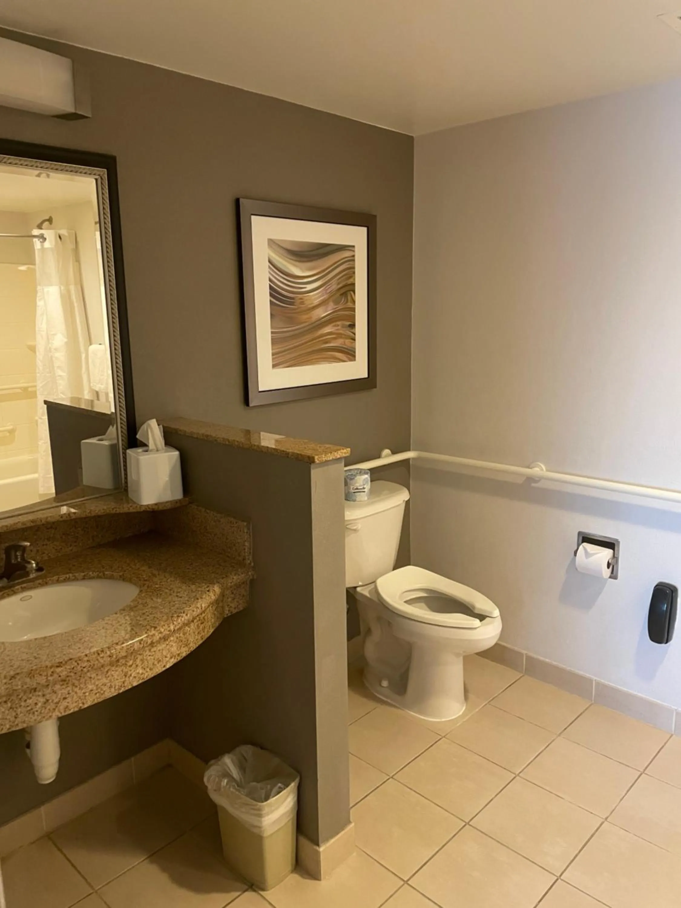 Bathroom in Courtyard by Marriott Gettysburg