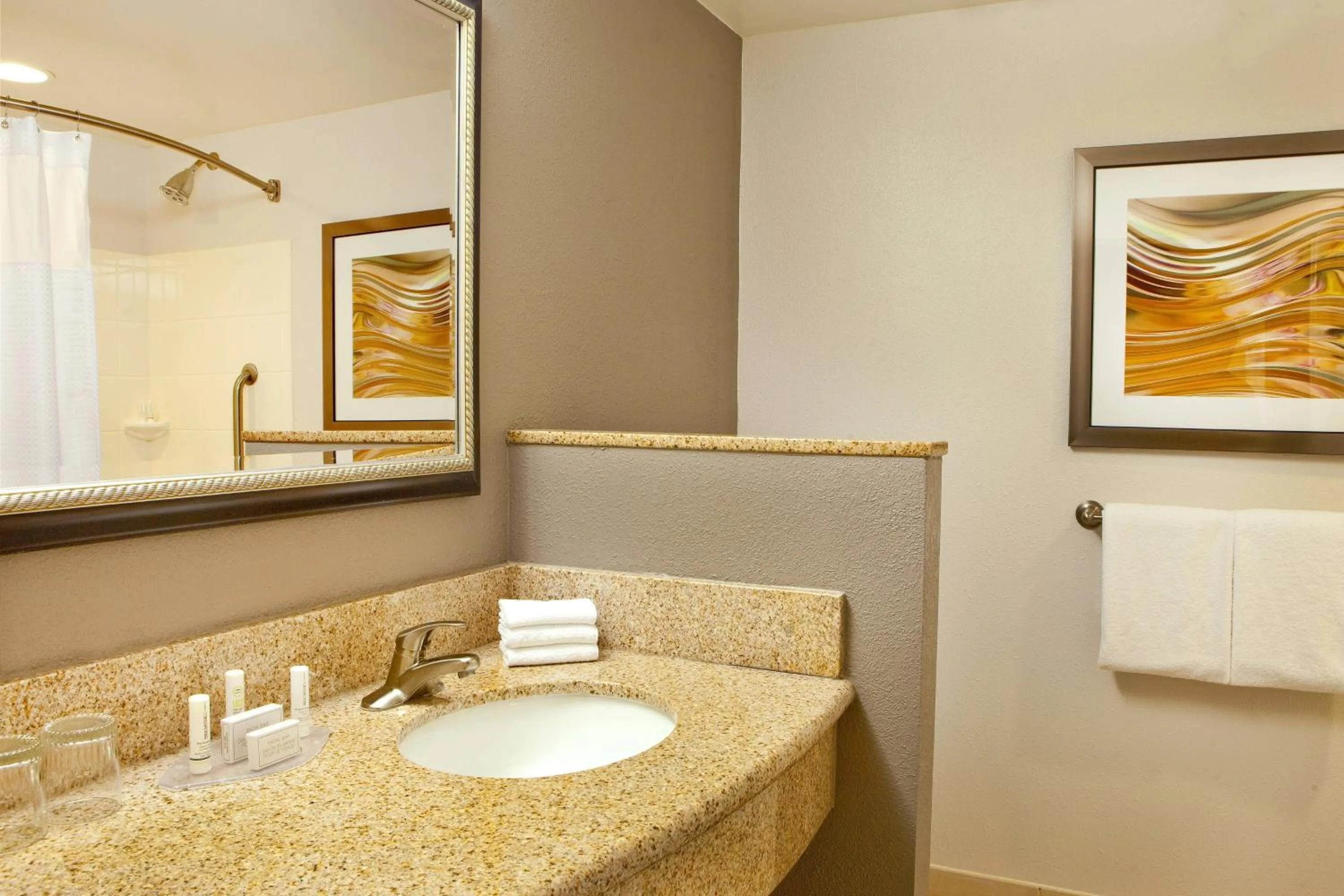 Bathroom in Courtyard by Marriott Gettysburg