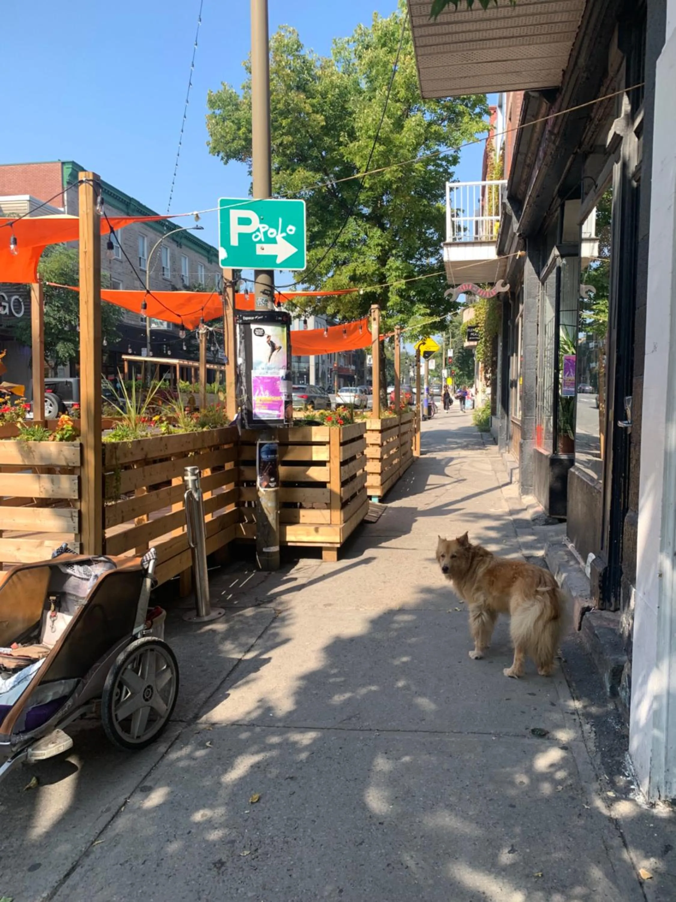Balcony/Terrace in Pensione Popolo