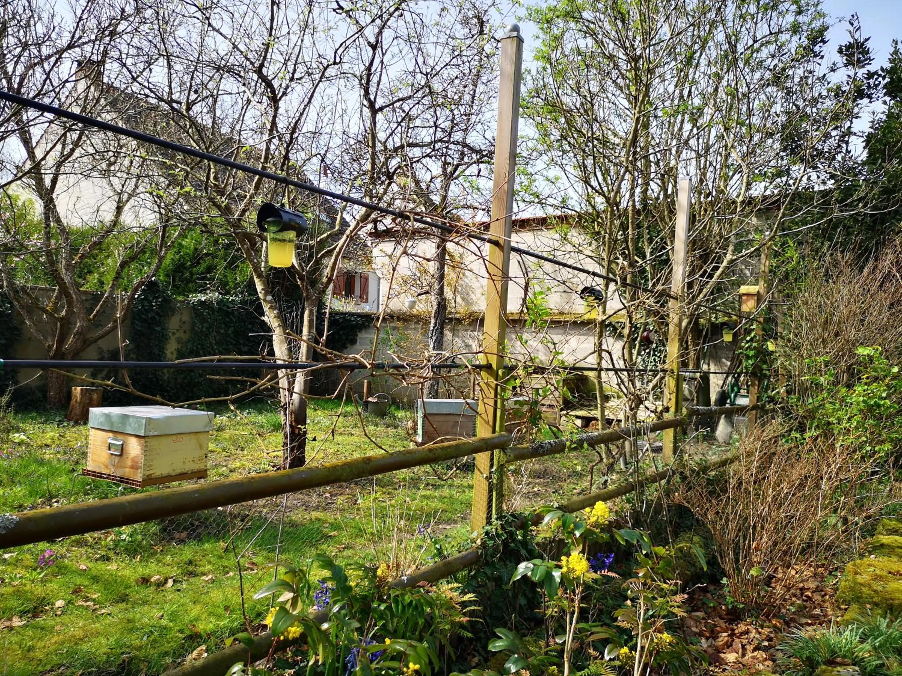 Garden in Villa le Cloky
