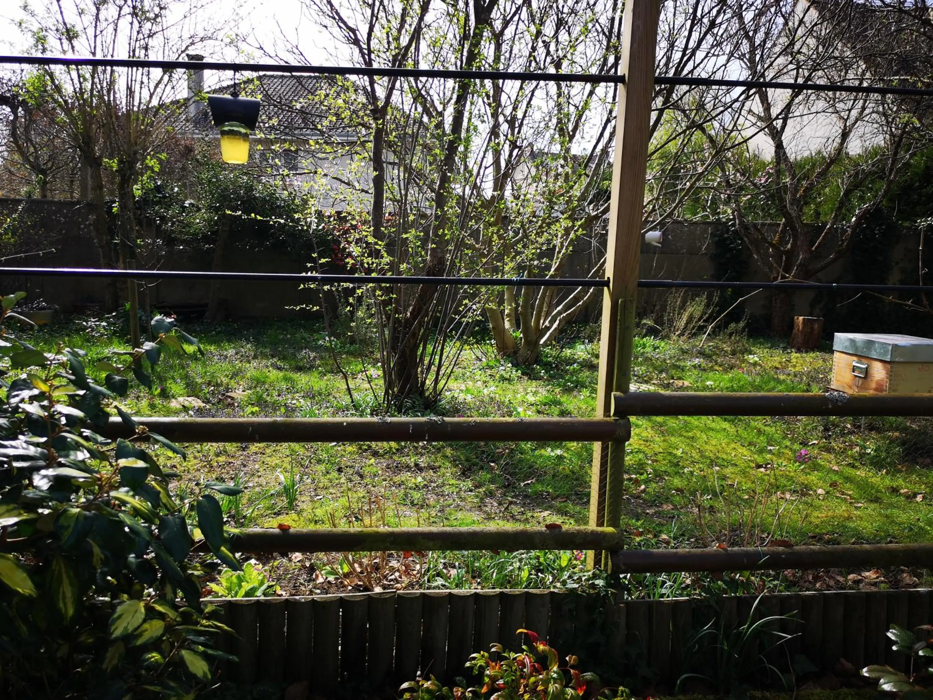 Garden in Villa le Cloky