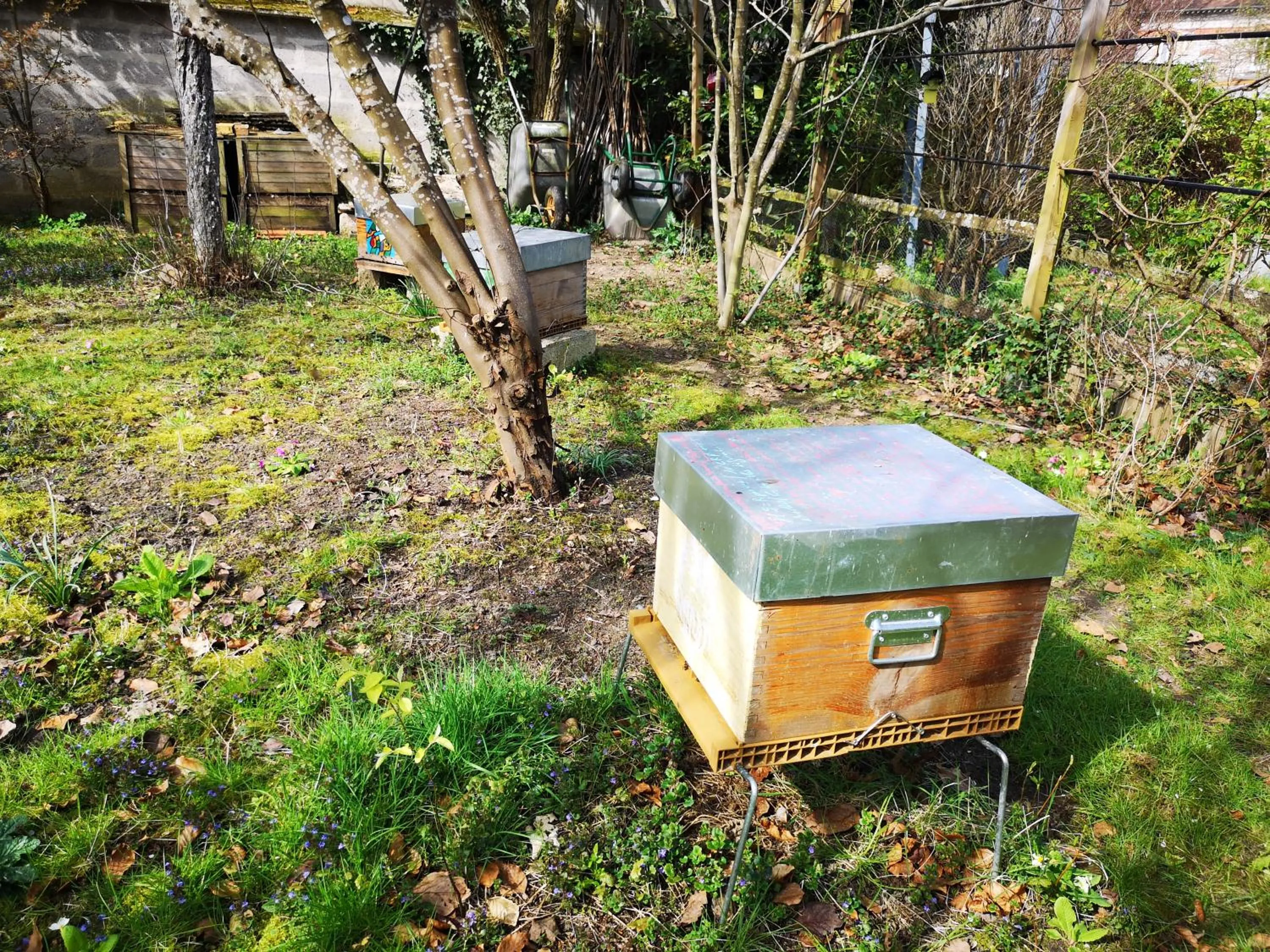 Garden in Villa le Cloky