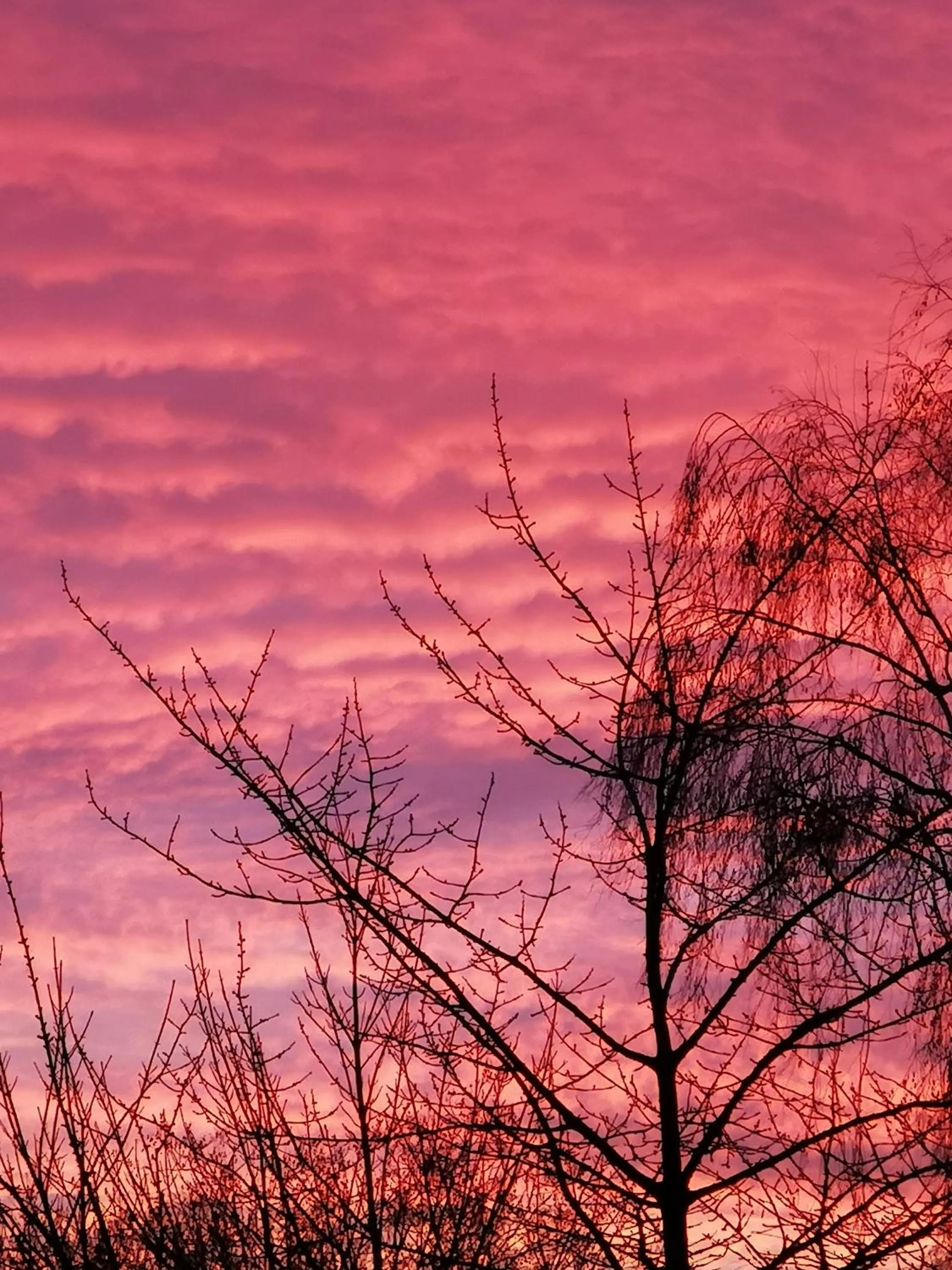 Sunset in Villa le Cloky