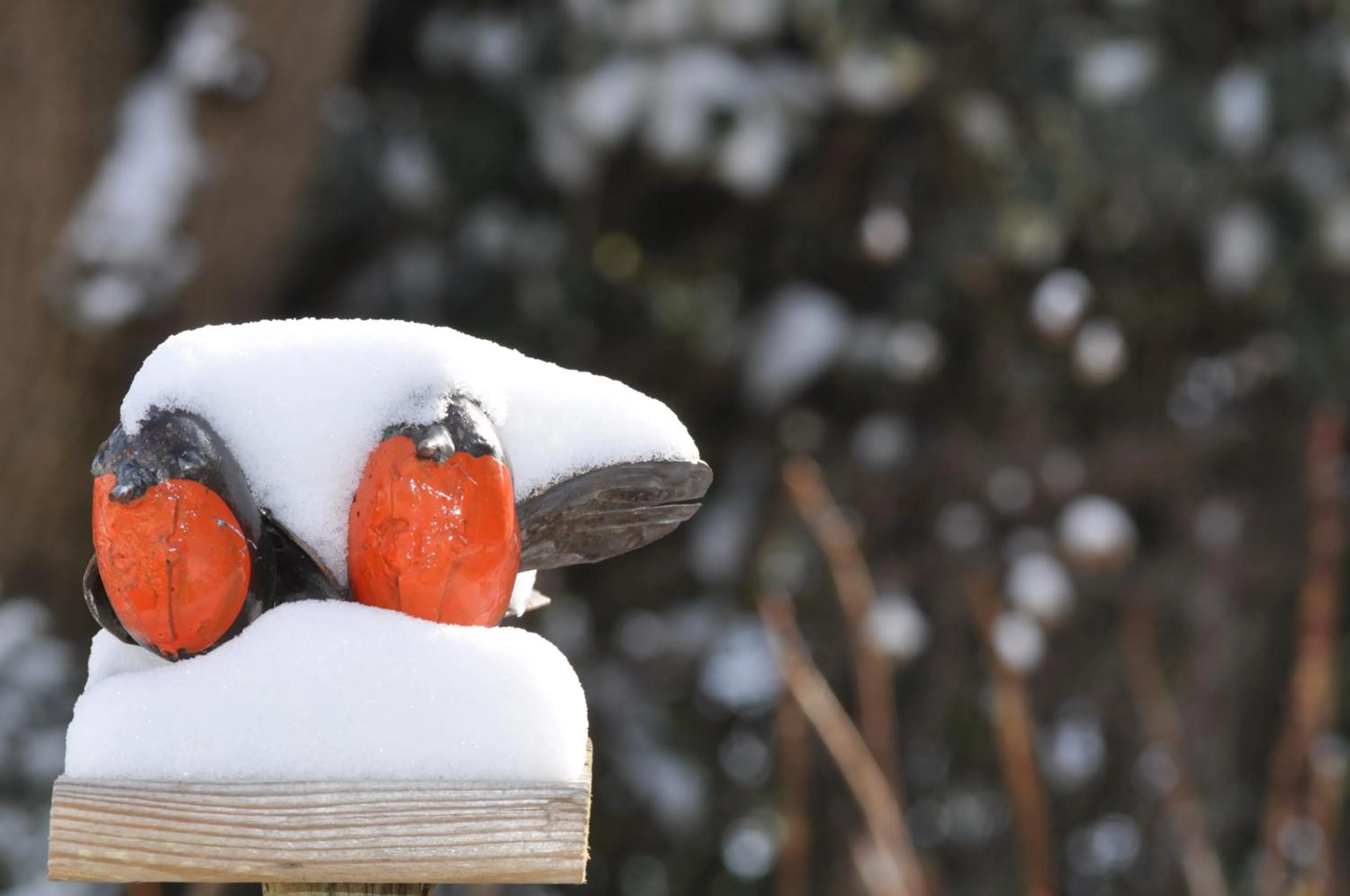 Garden in Villa le Cloky