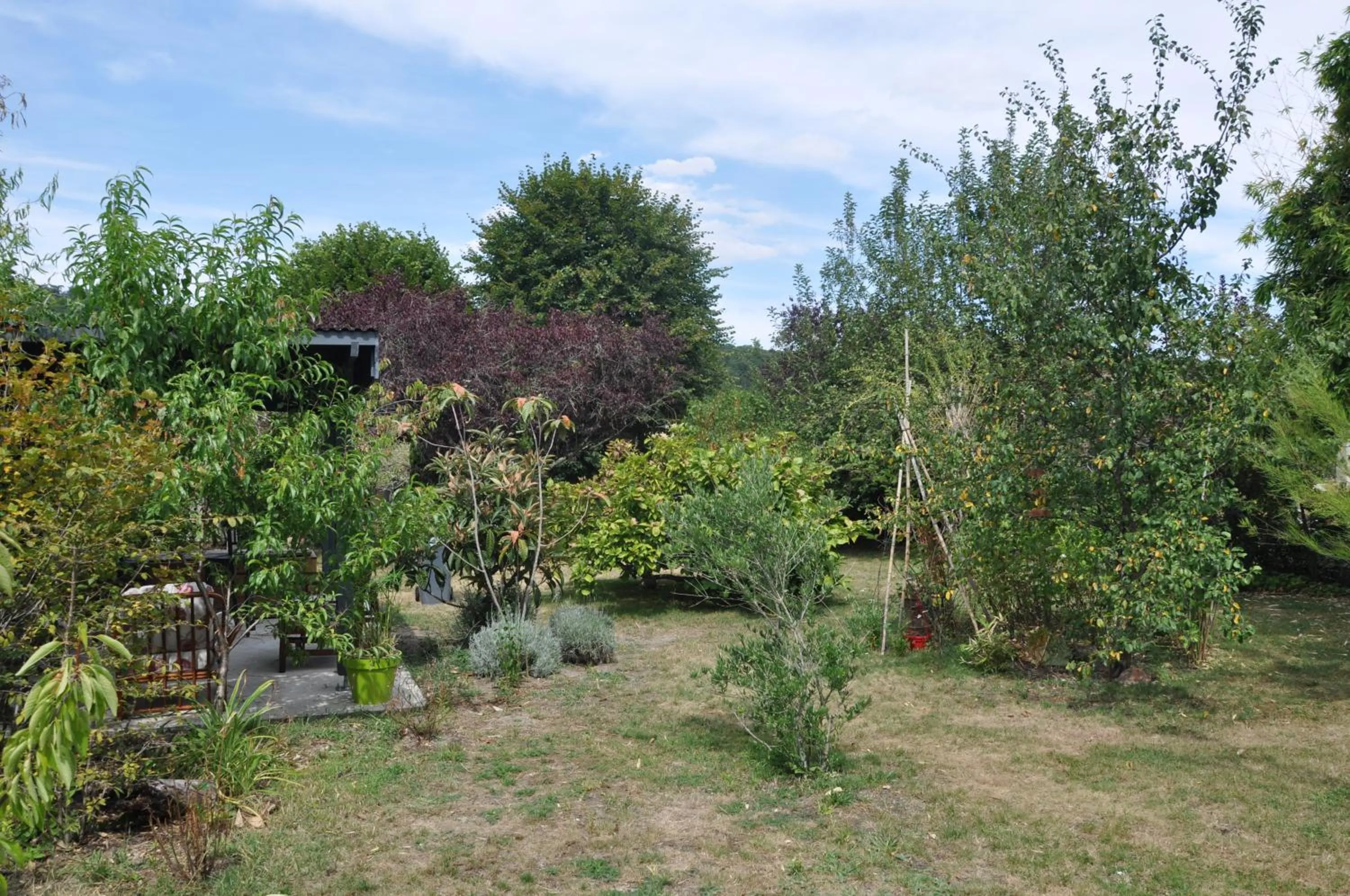 Garden in Villa le Cloky