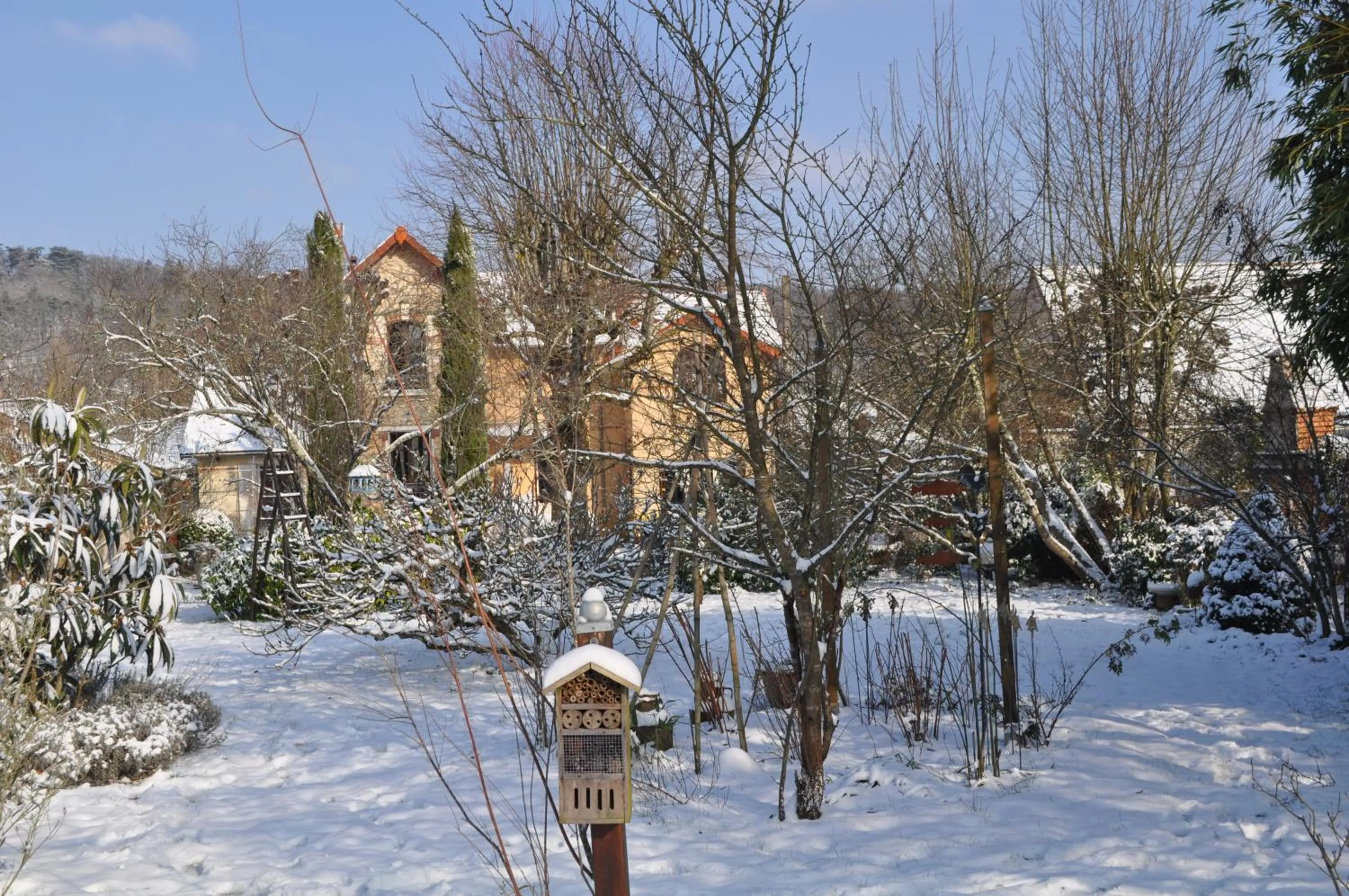Natural landscape in Villa le Cloky