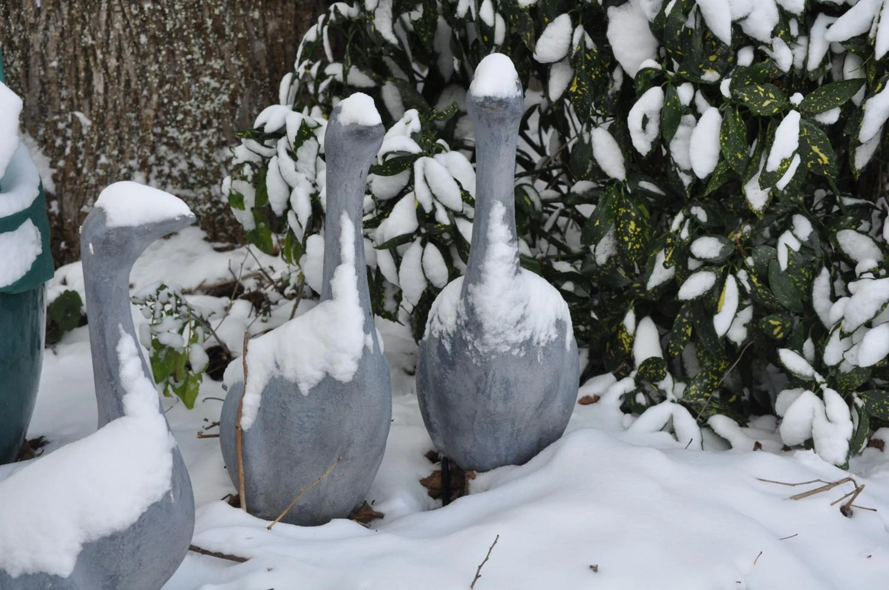 Winter in Villa le Cloky