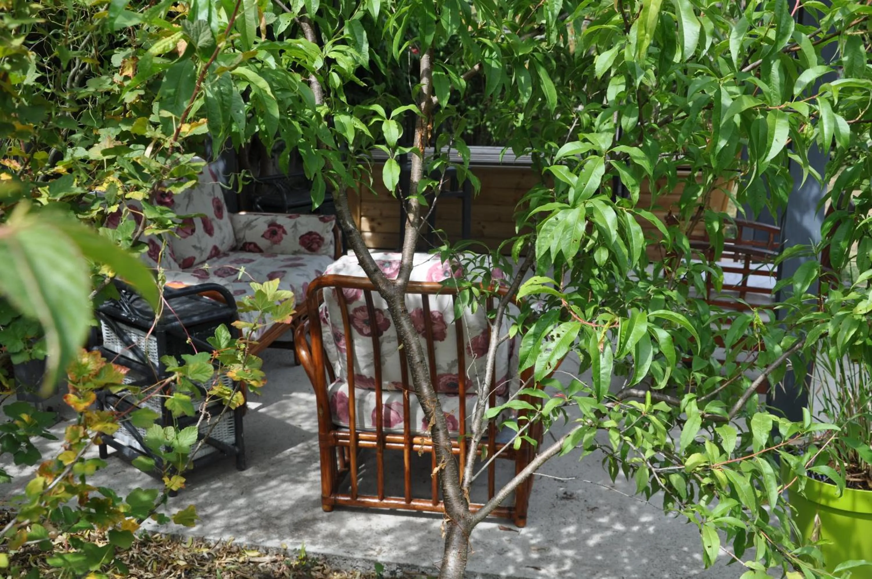 Patio in Villa le Cloky