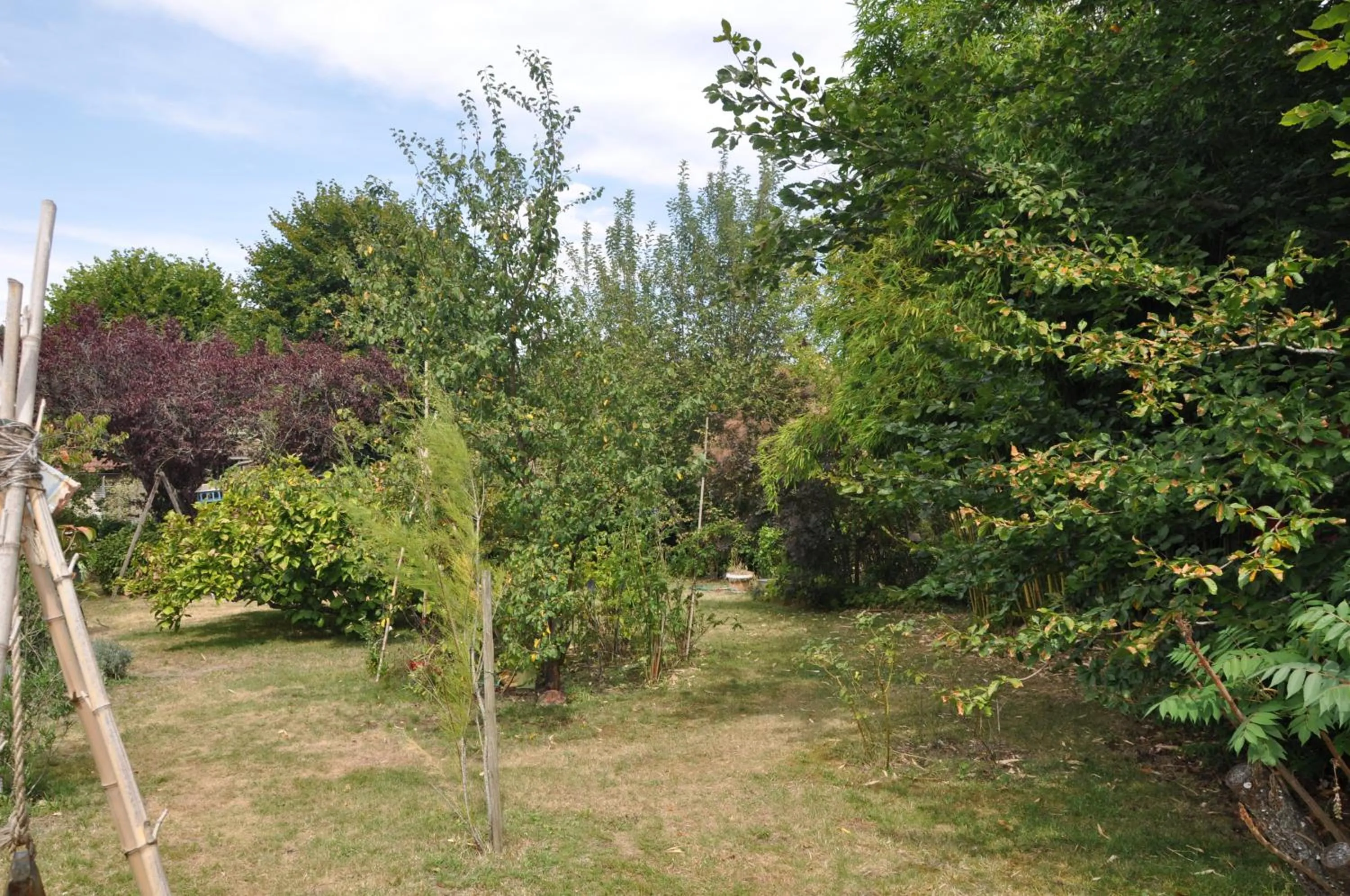 Garden in Villa le Cloky