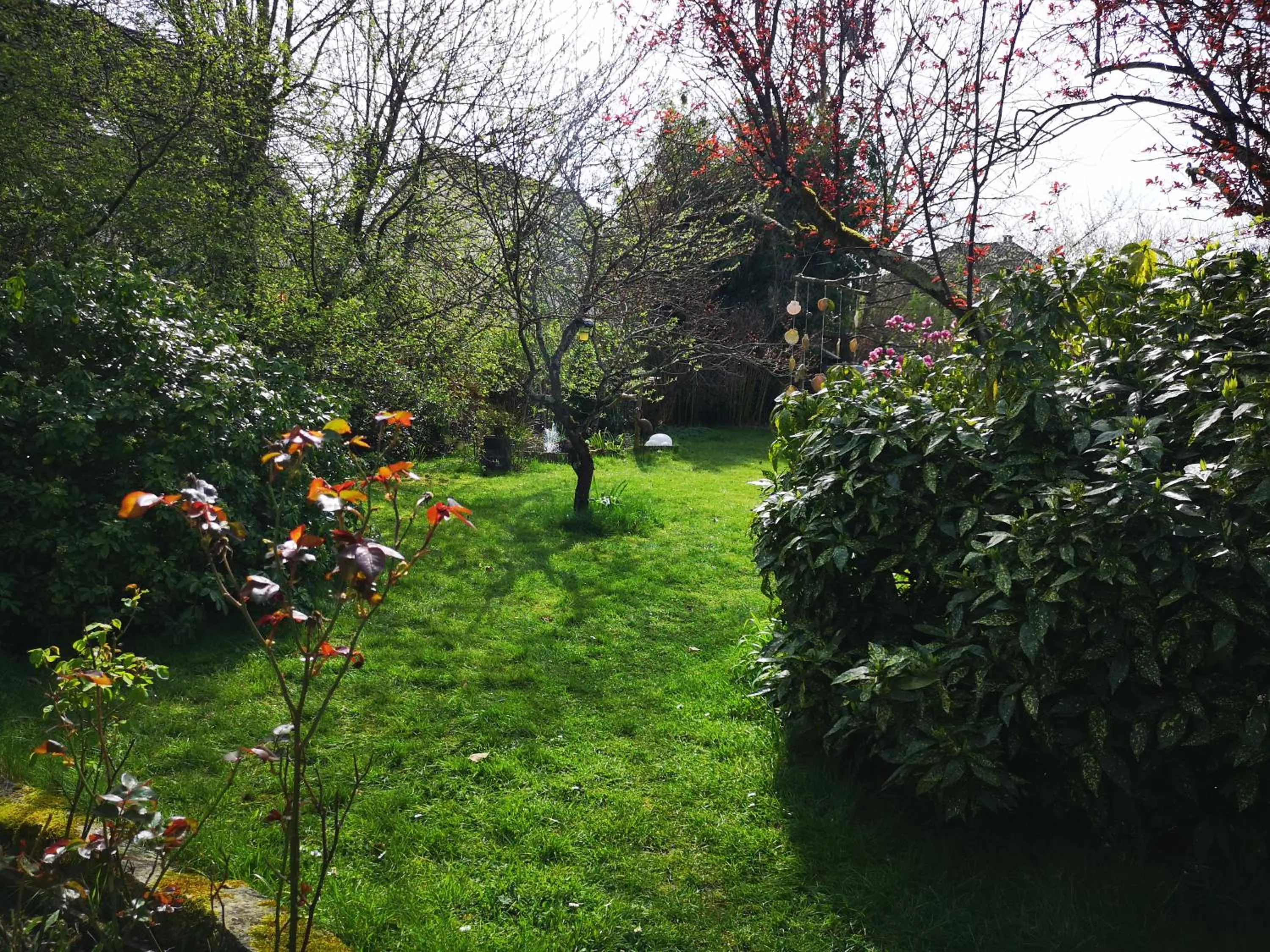 Garden in Villa le Cloky