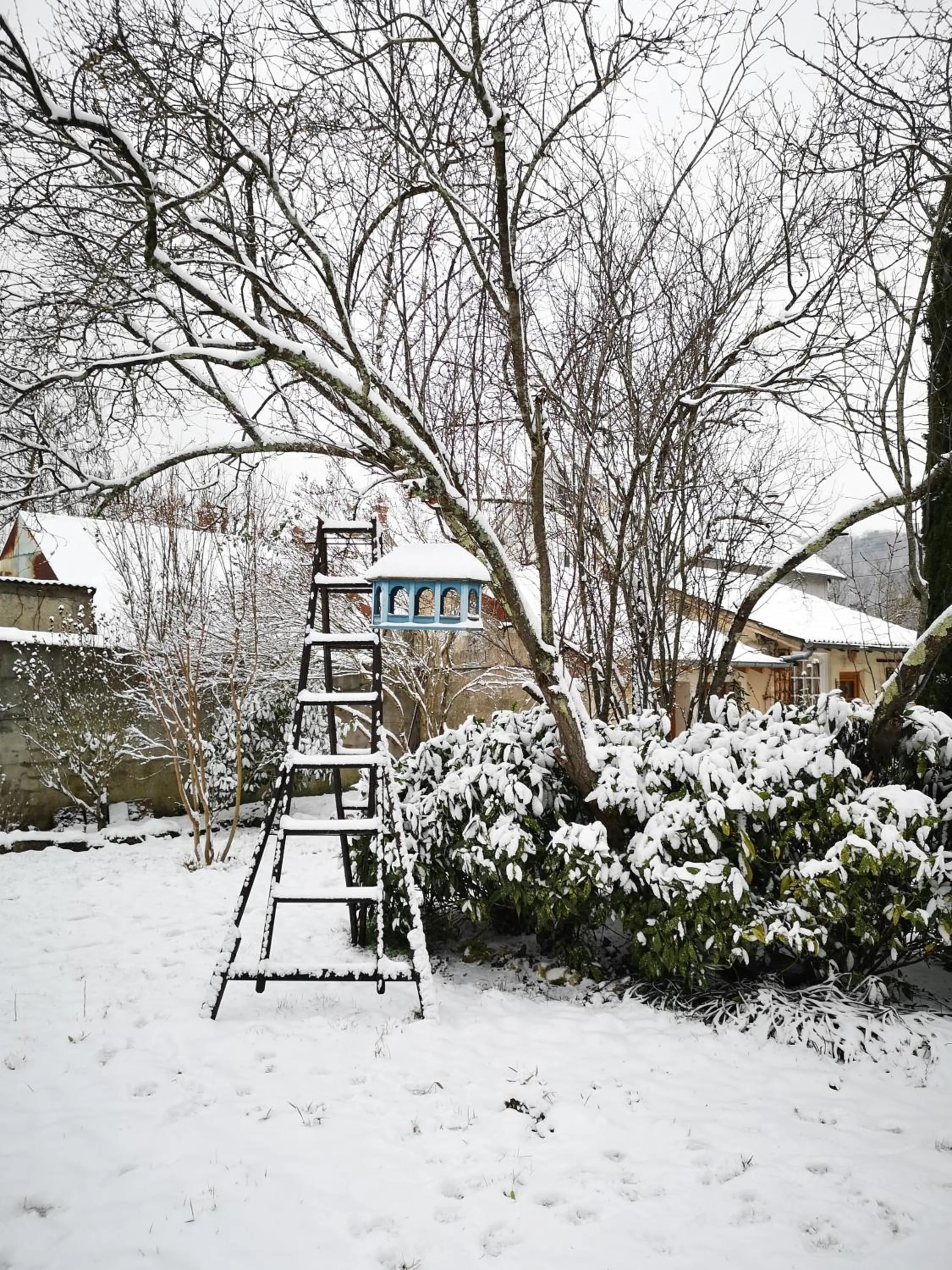 Garden in Villa le Cloky