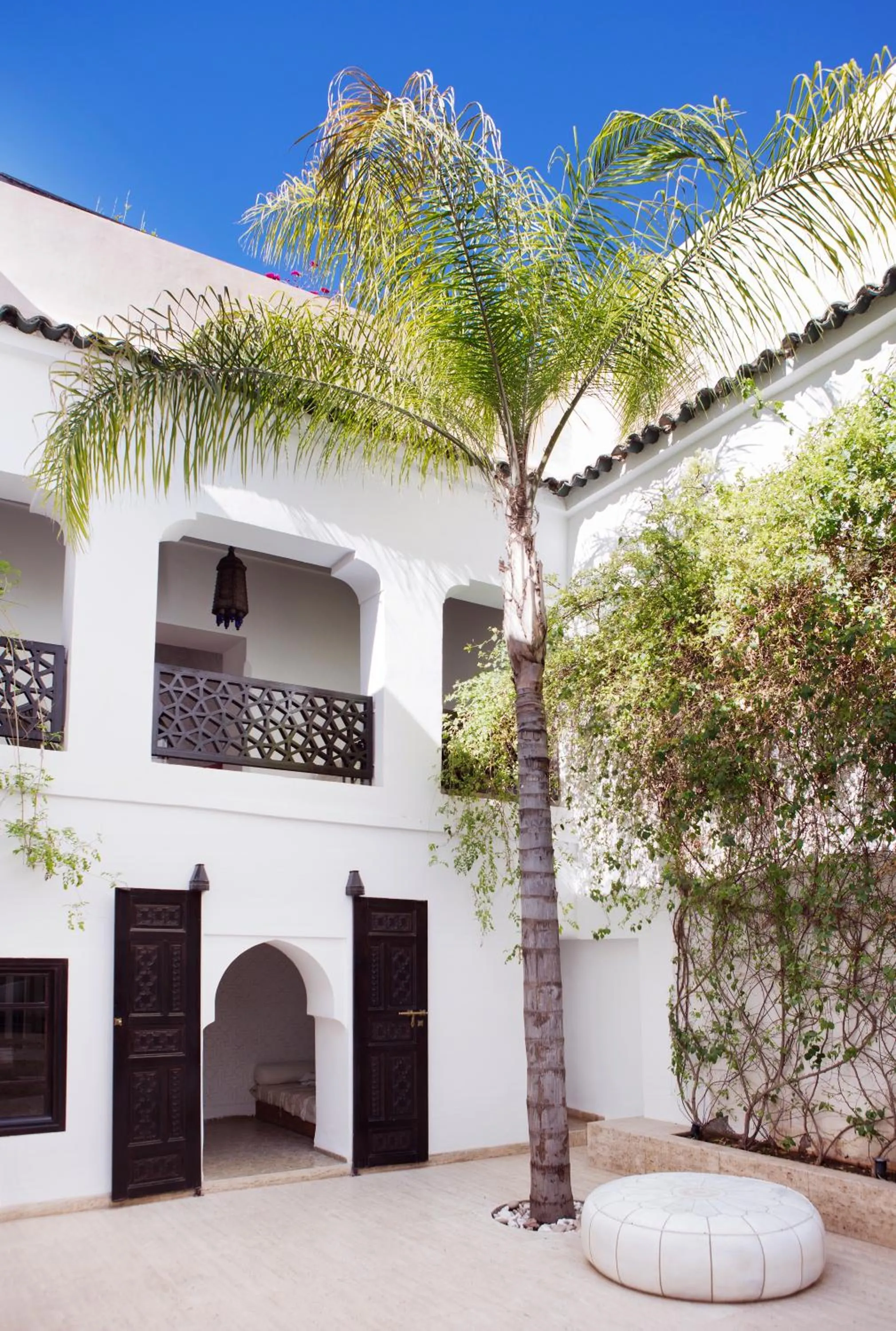 Patio in P´tit Habibi