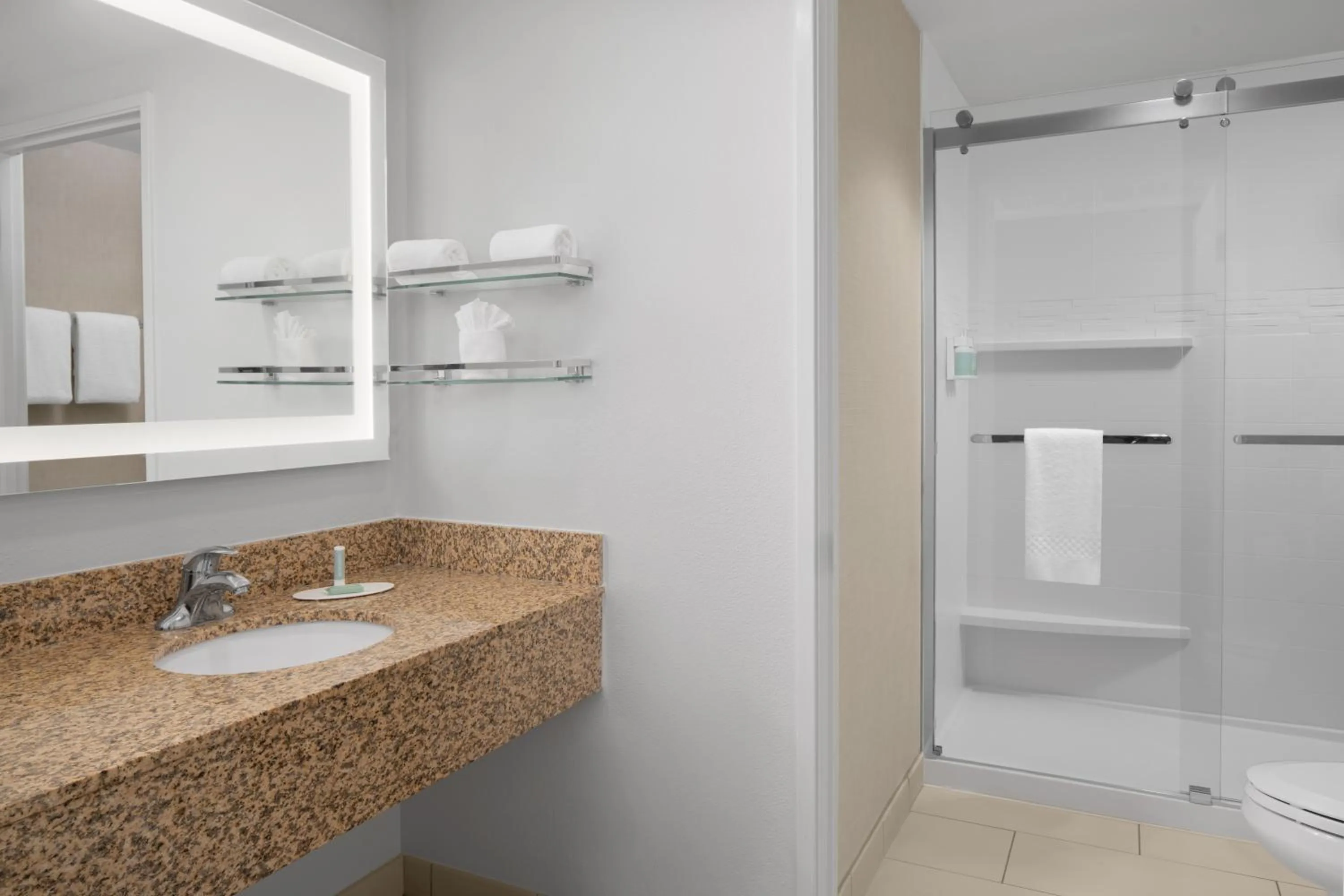 Bathroom in Residence Inn by Marriott Santa Clarita Valencia