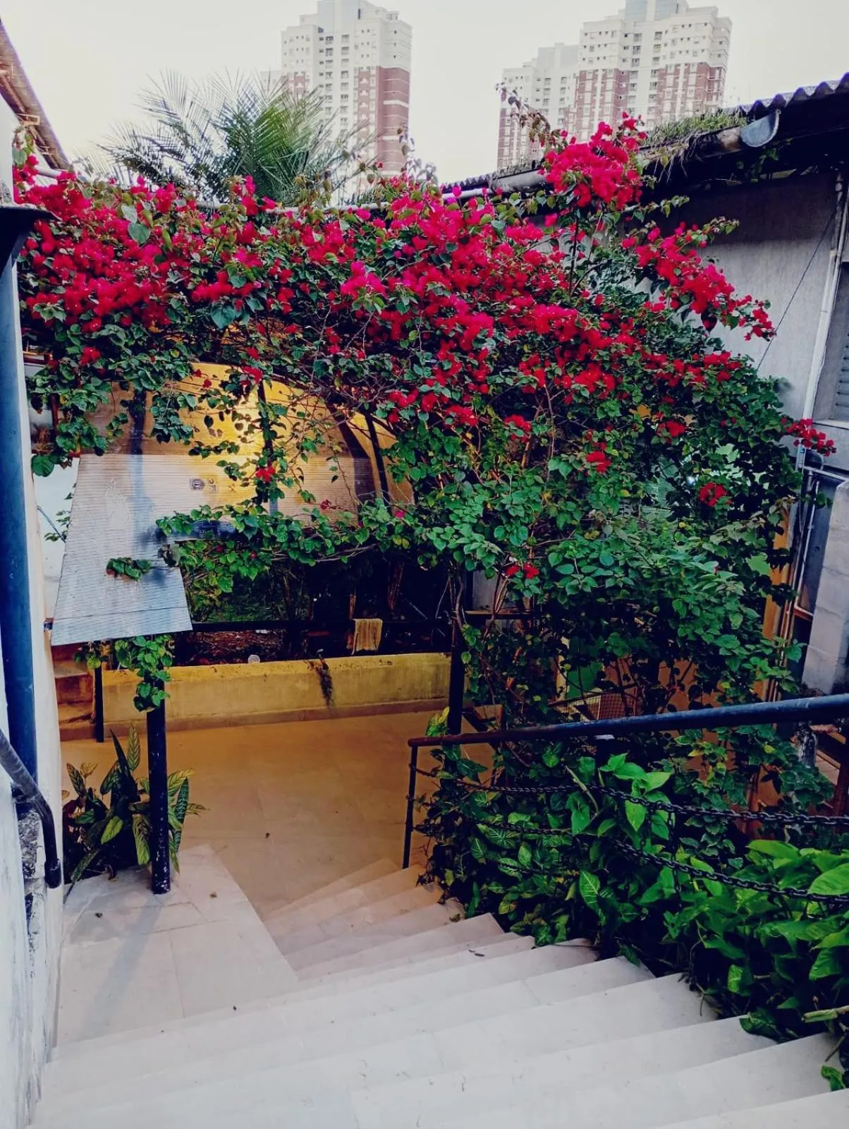 Garden in Residencial Mogi das Cruzes
