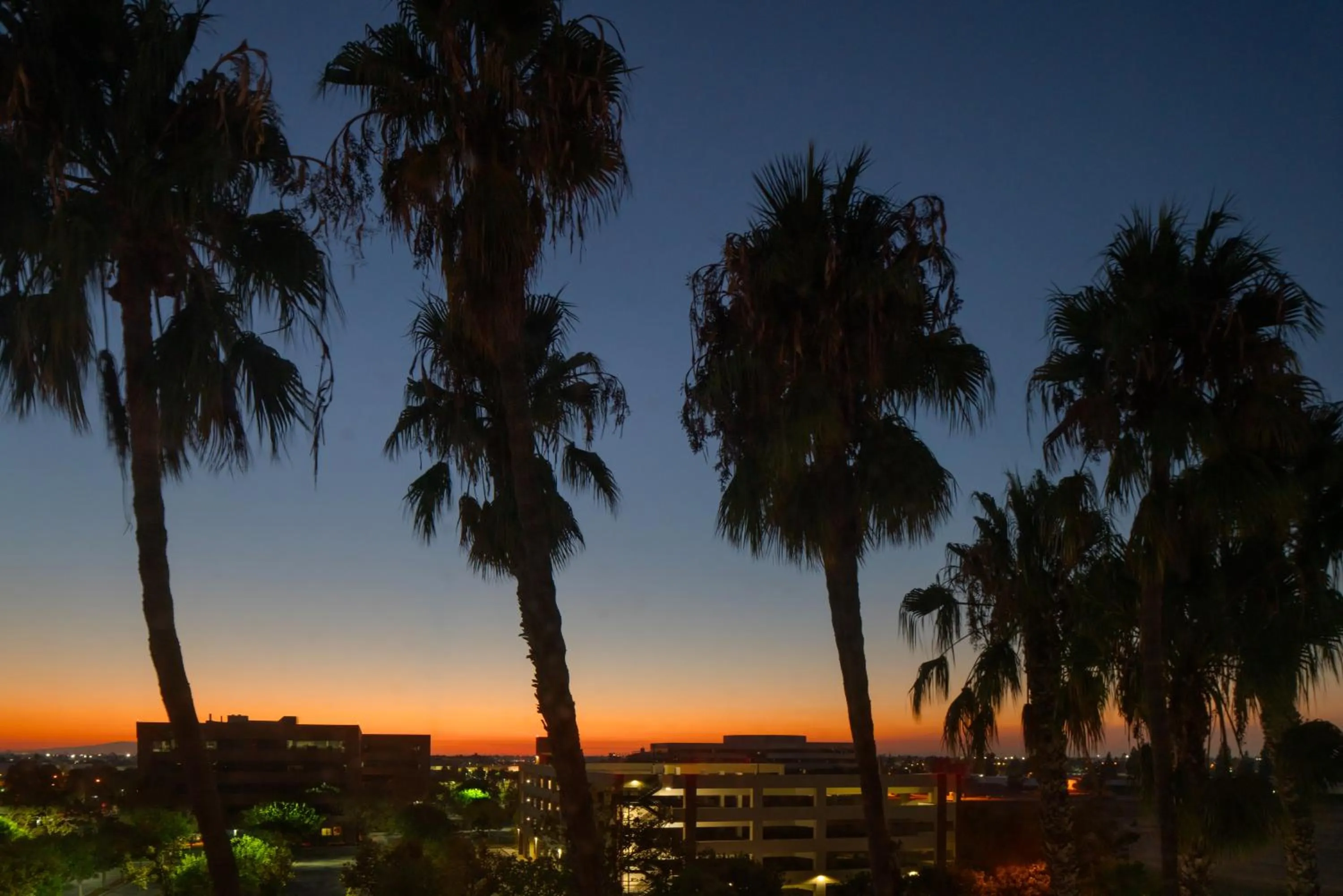View (from property/room) in Courtyard by Marriott Cypress Anaheim / Orange County