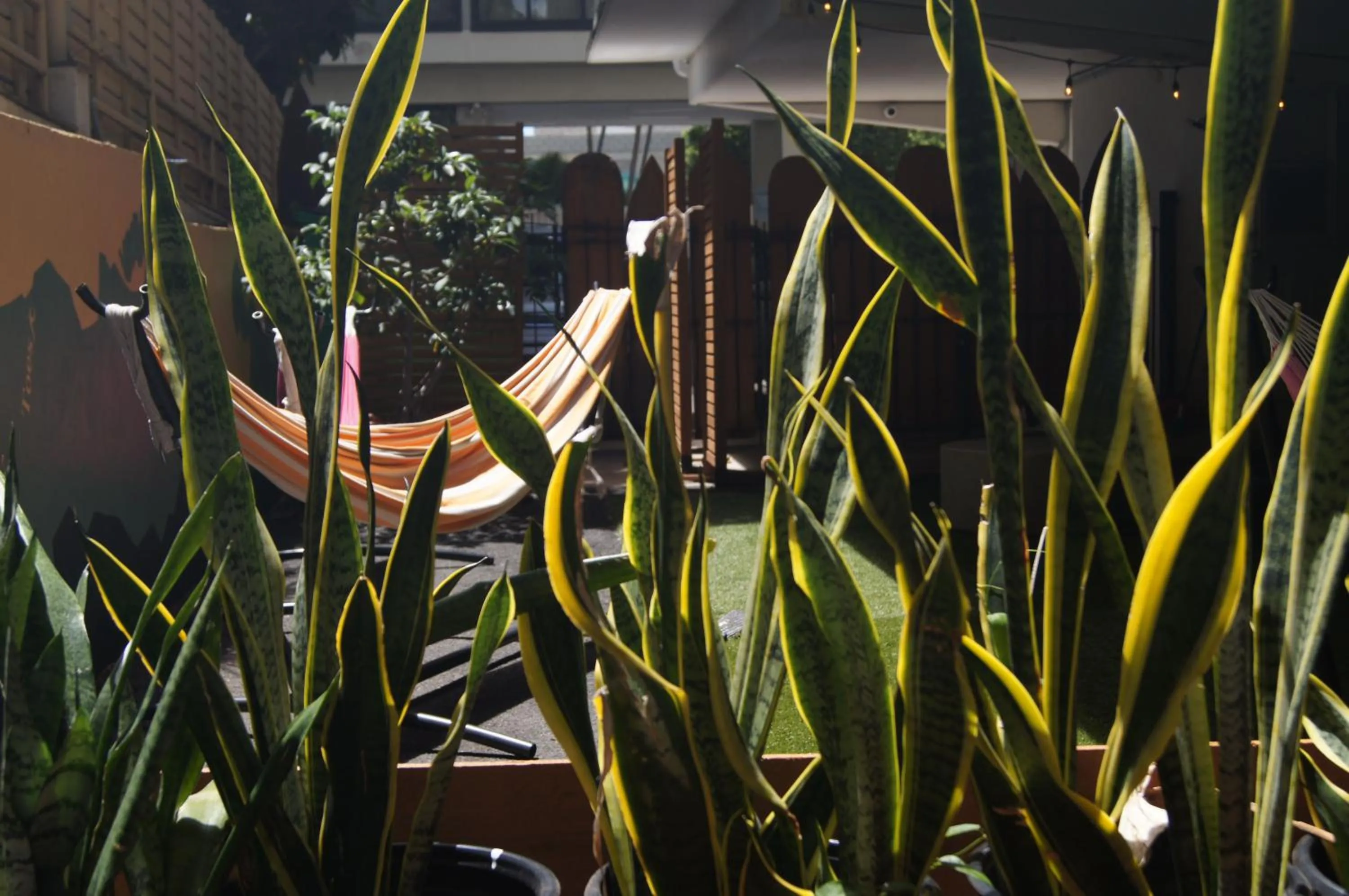 Patio in Polynesian Hostel Beach Club