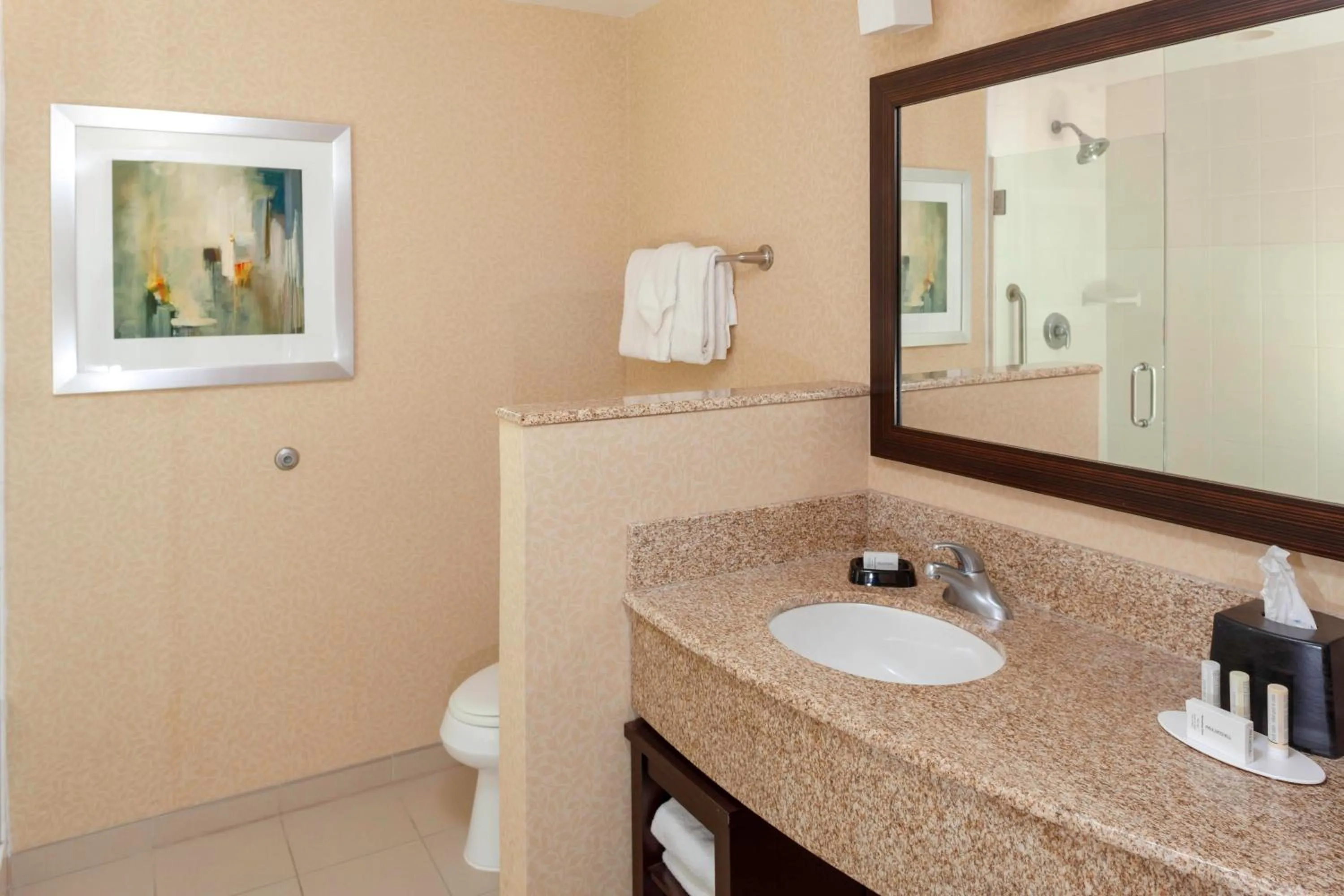 Bathroom in Courtyard Memphis Downtown