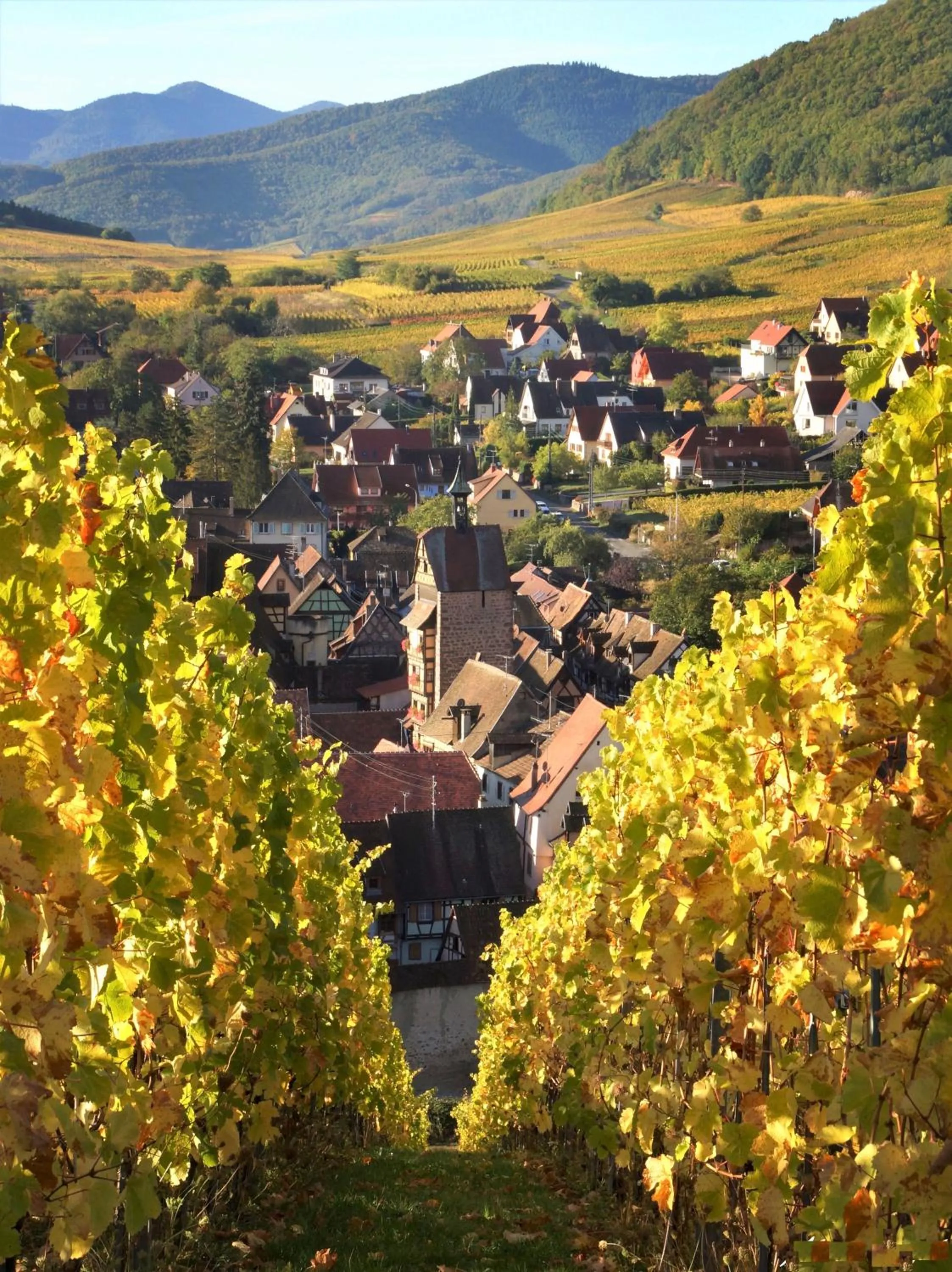 City view in ADRIHOF à Riquewihr, Cour de l'Abbaye d'Autrey