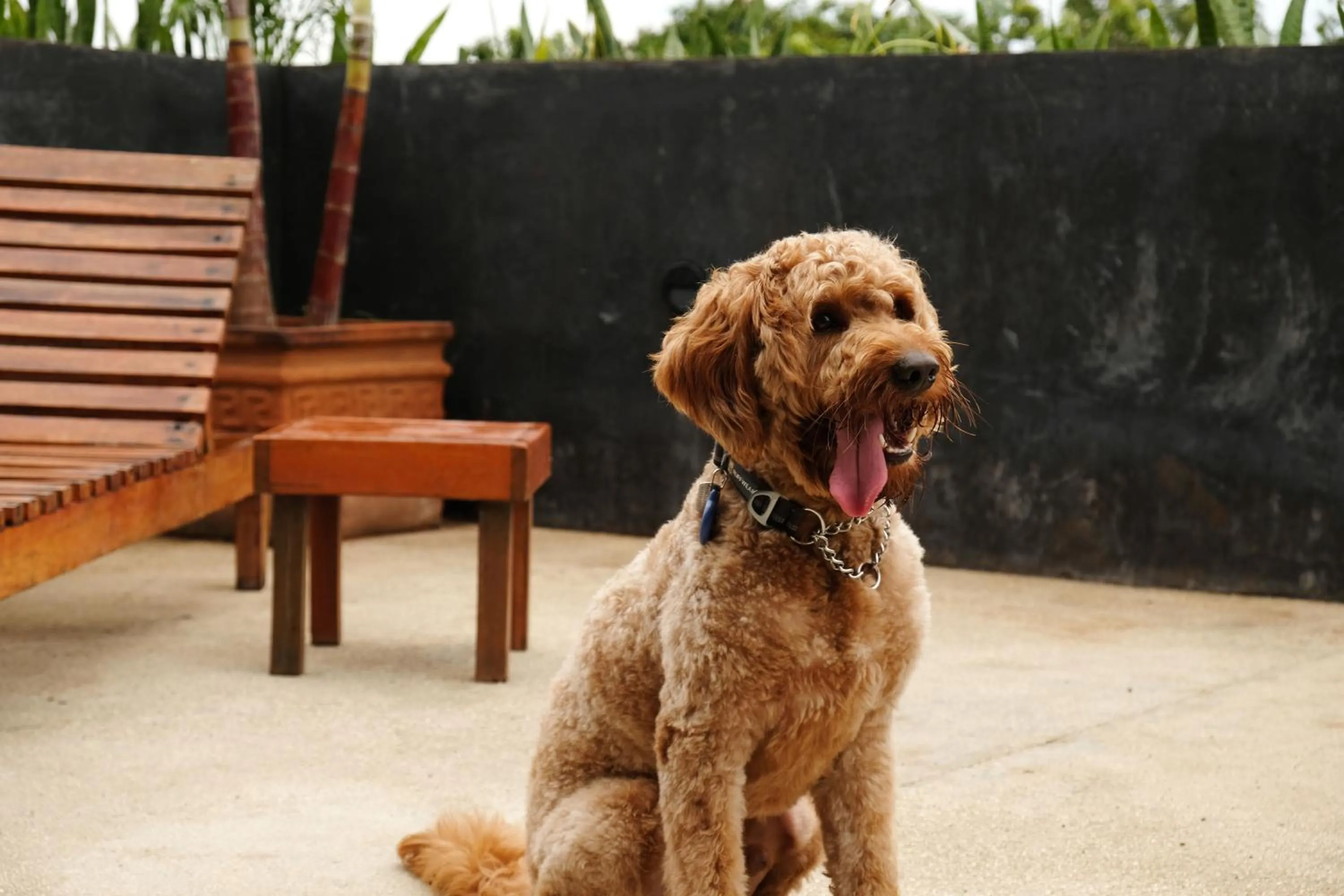 Turquoise Tulum Hotel