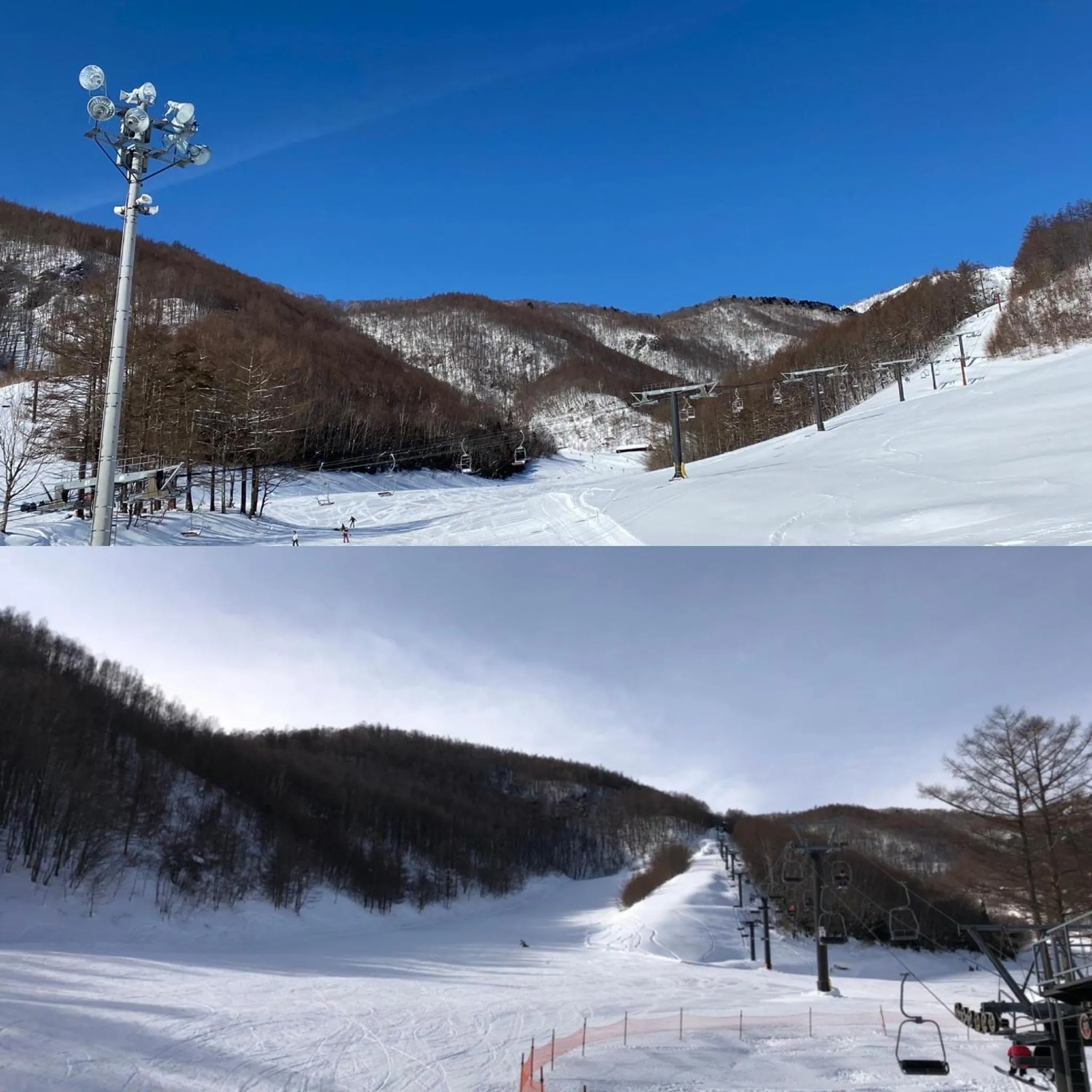 Skiing in Pension Rapan