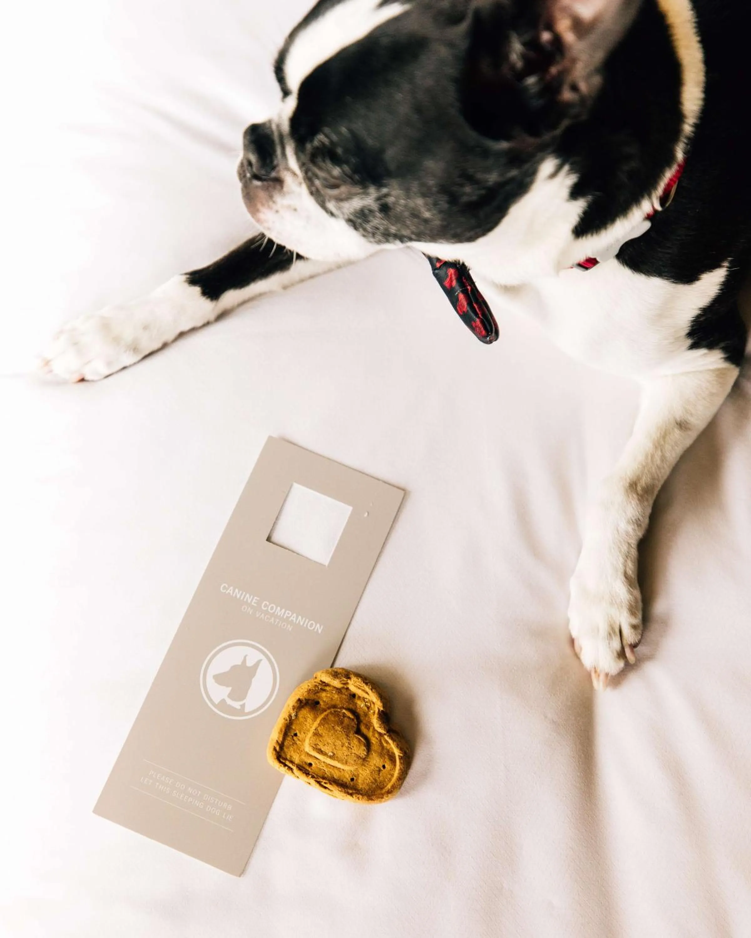 Bedroom in Grand Hyatt Seattle
