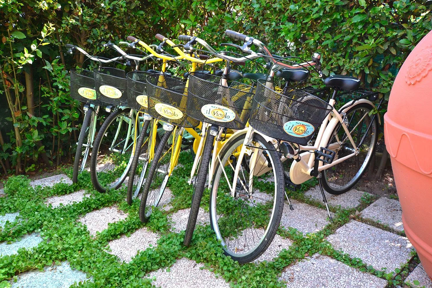 Activities in Bed & Breakfast Il Vicolo