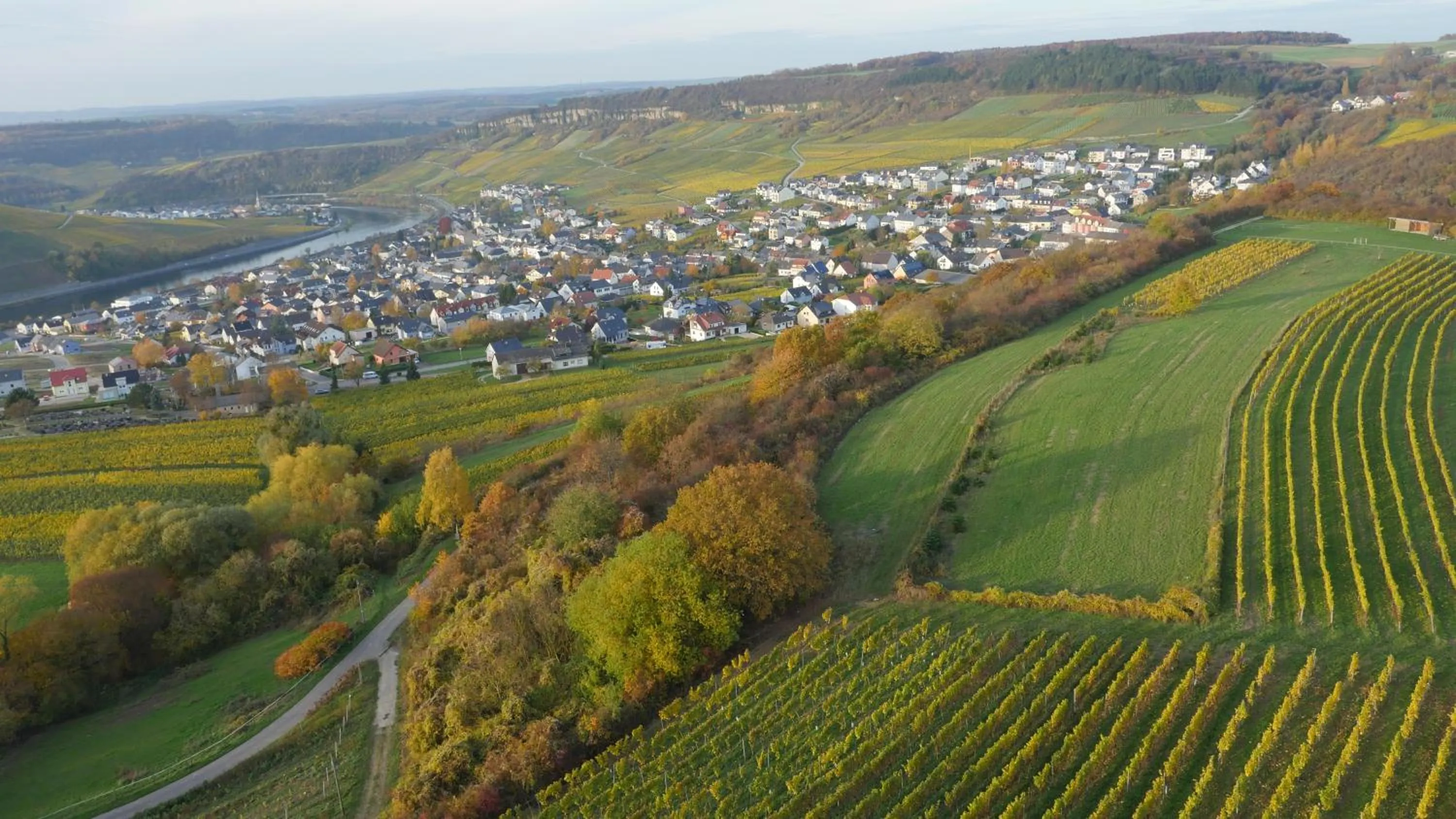 Natural landscape in Weingut und Gästehaus Apel
