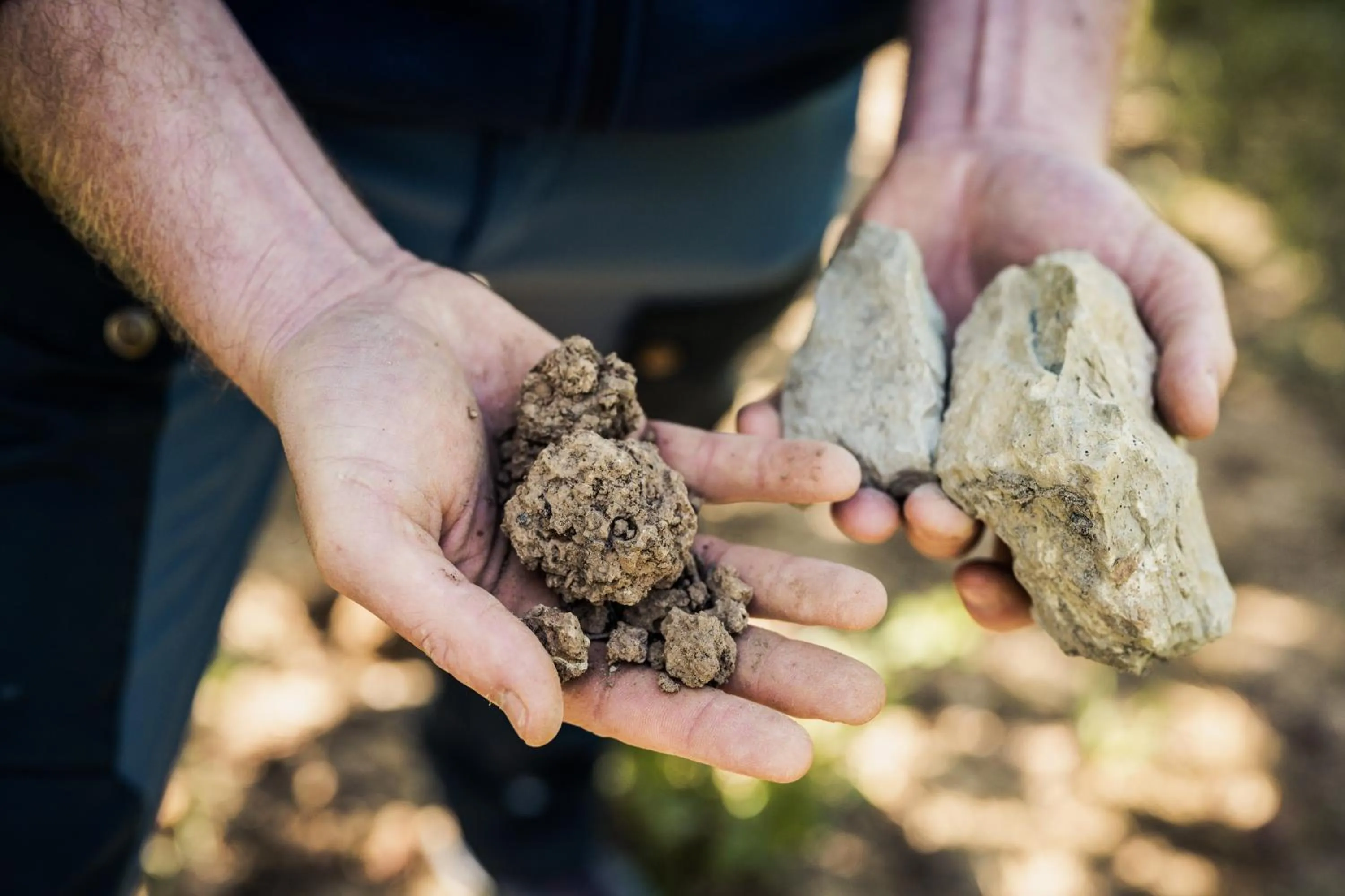 Natural landscape in Weingut und Gästehaus Apel