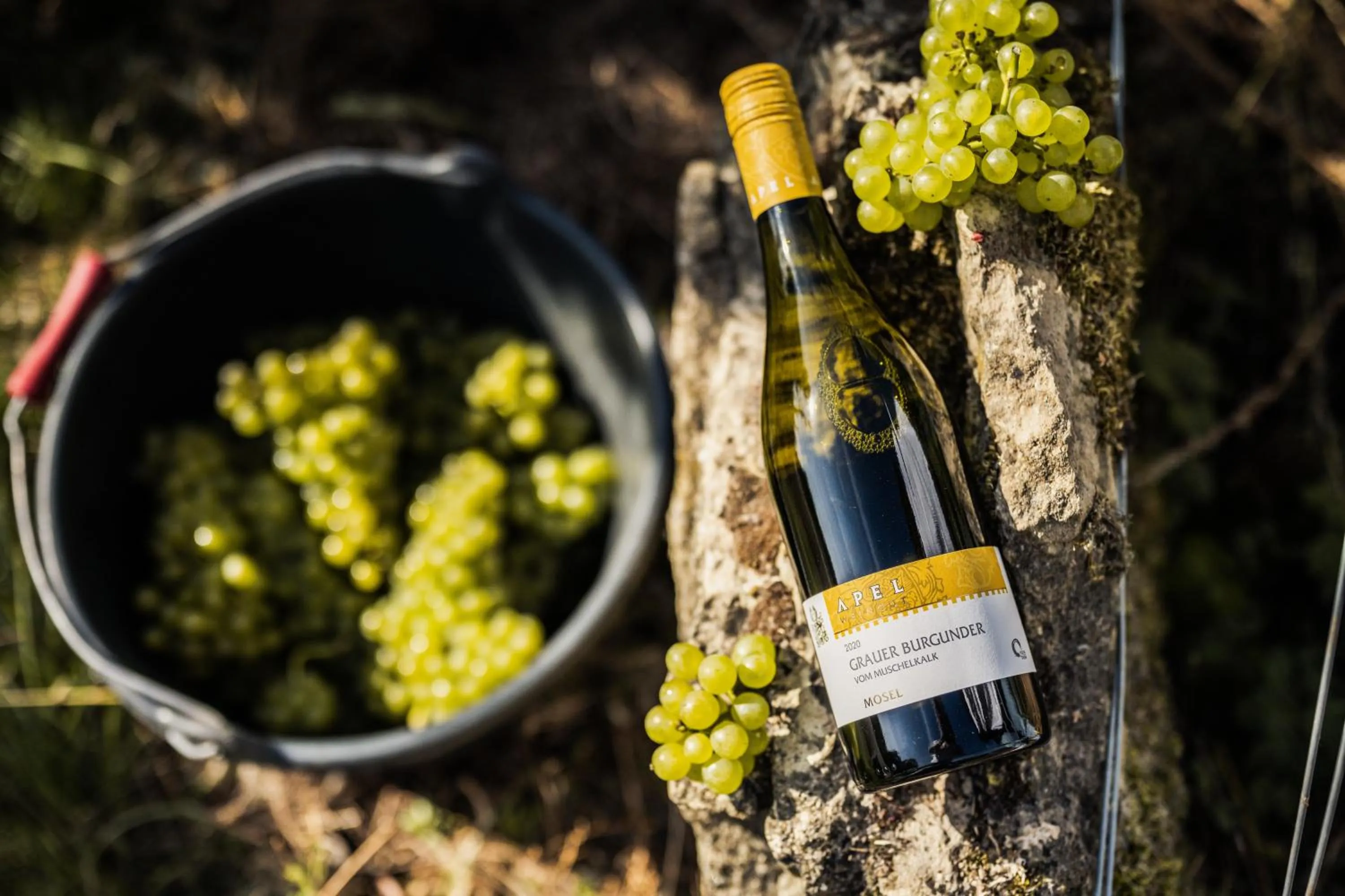 Natural landscape in Weingut und Gästehaus Apel