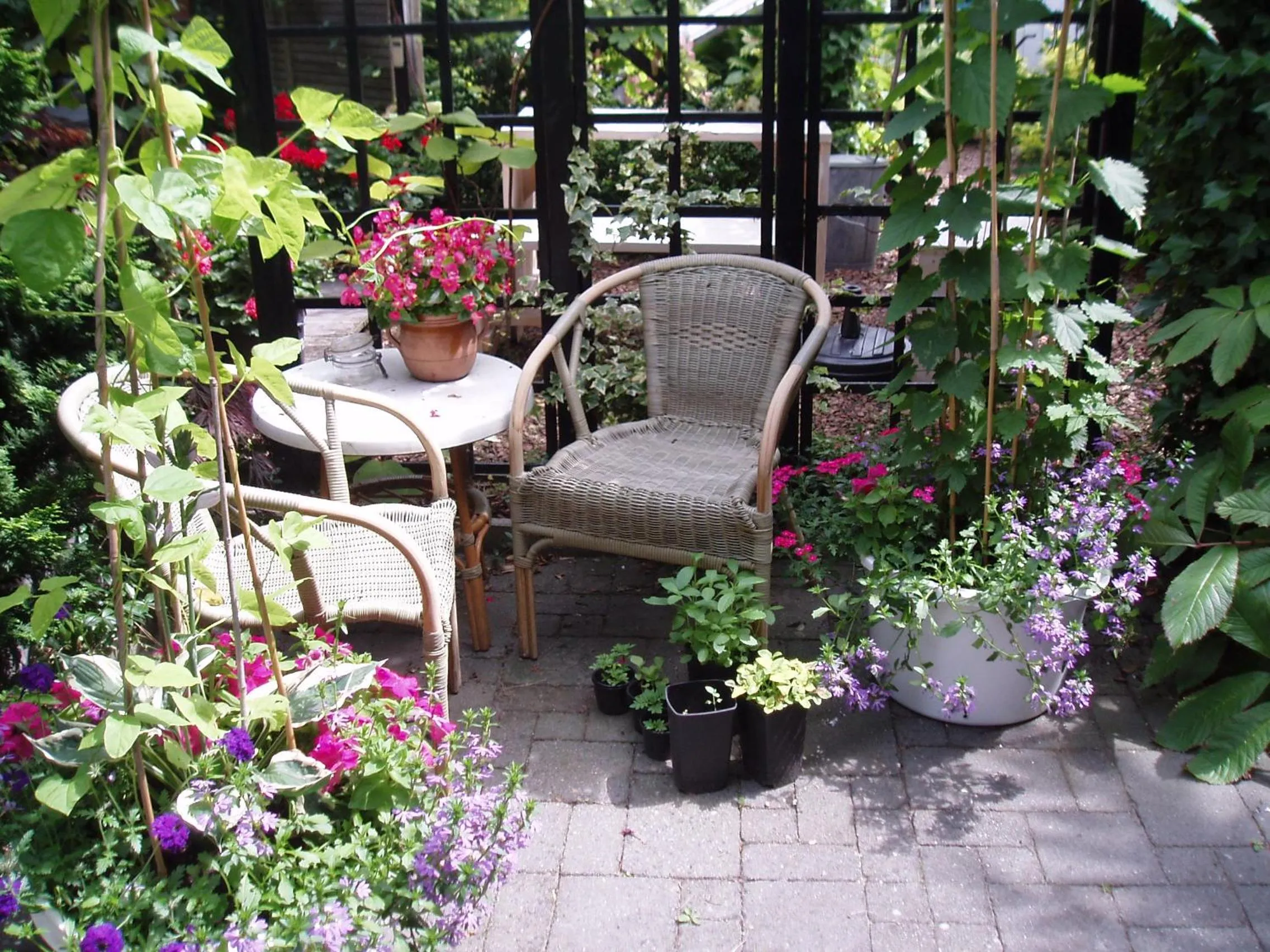 Garden in Noordwester 45