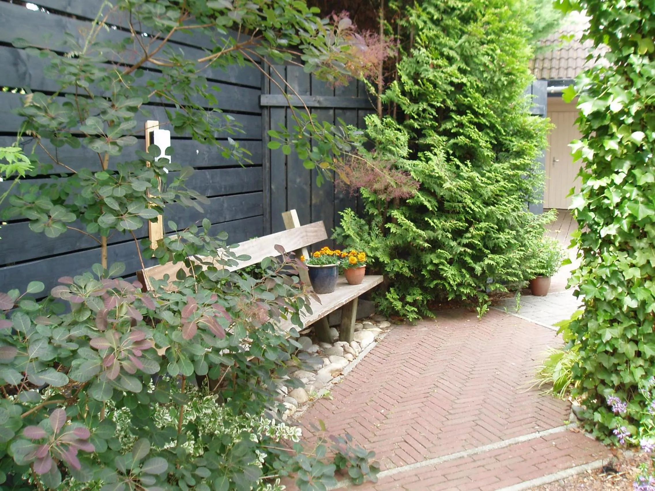 Garden in Noordwester 45