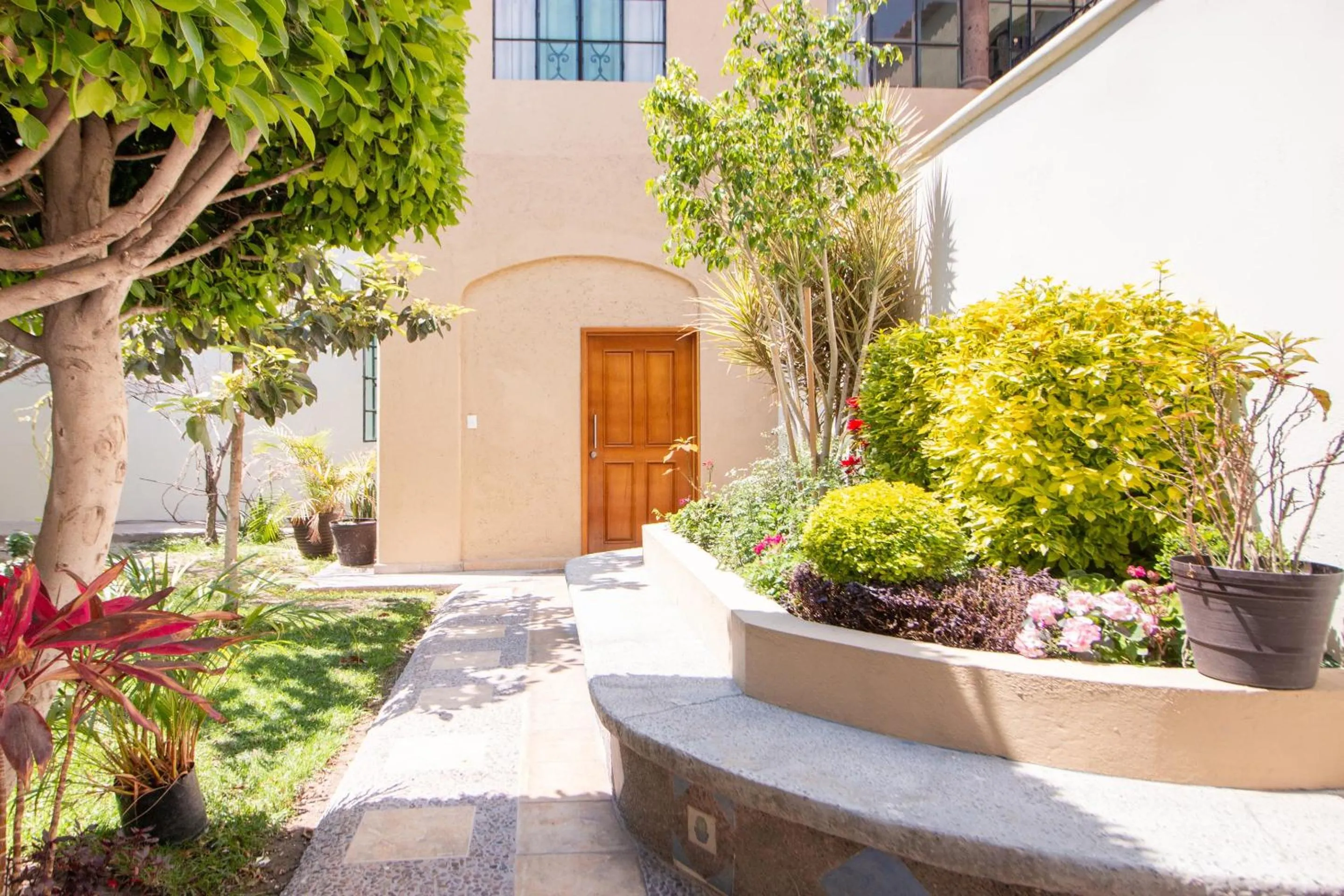 Garden in Capital O Hotel San Jose, San Luis Potosi