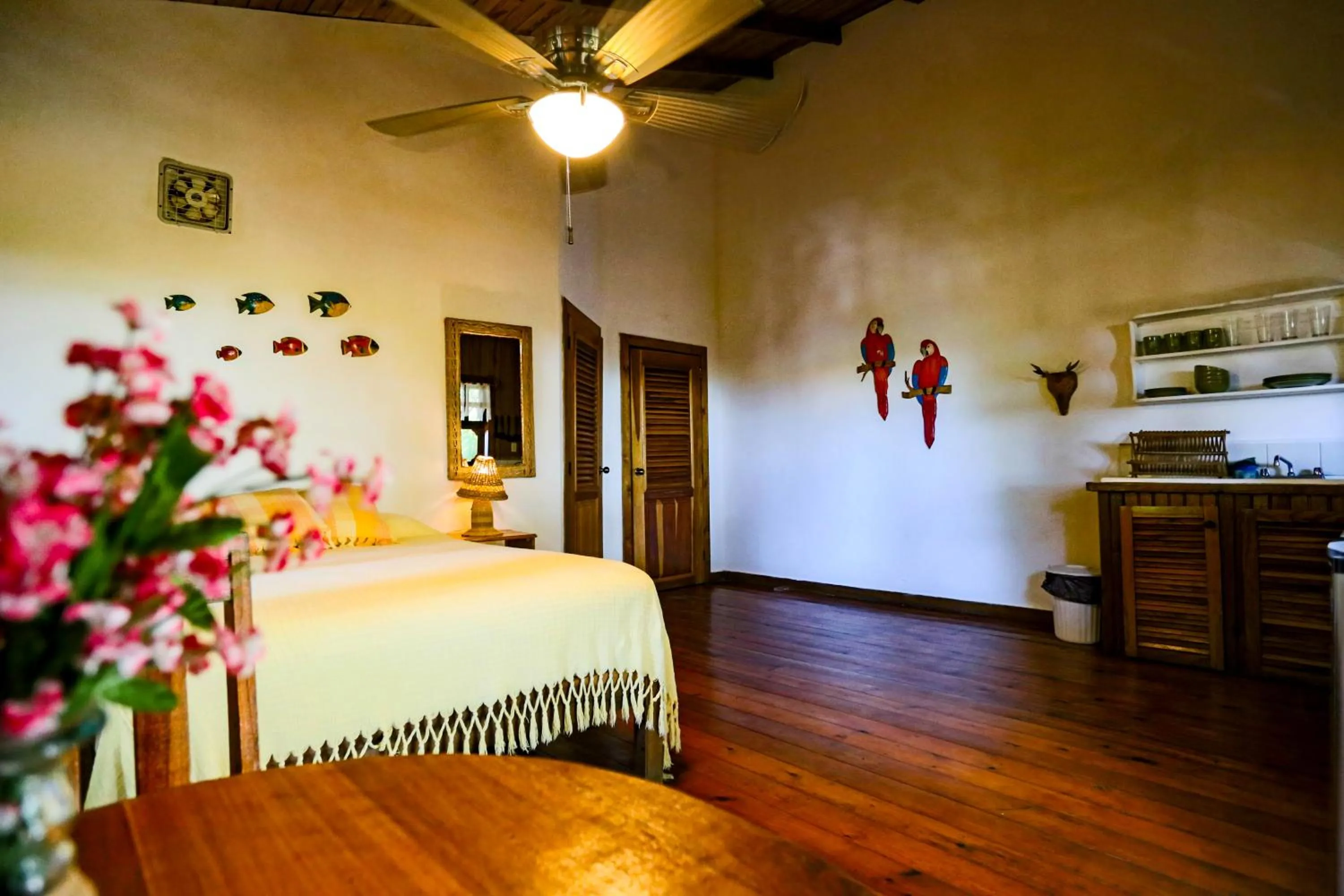 Kitchen or kitchenette, Bed in Posada Arco Iris, West End