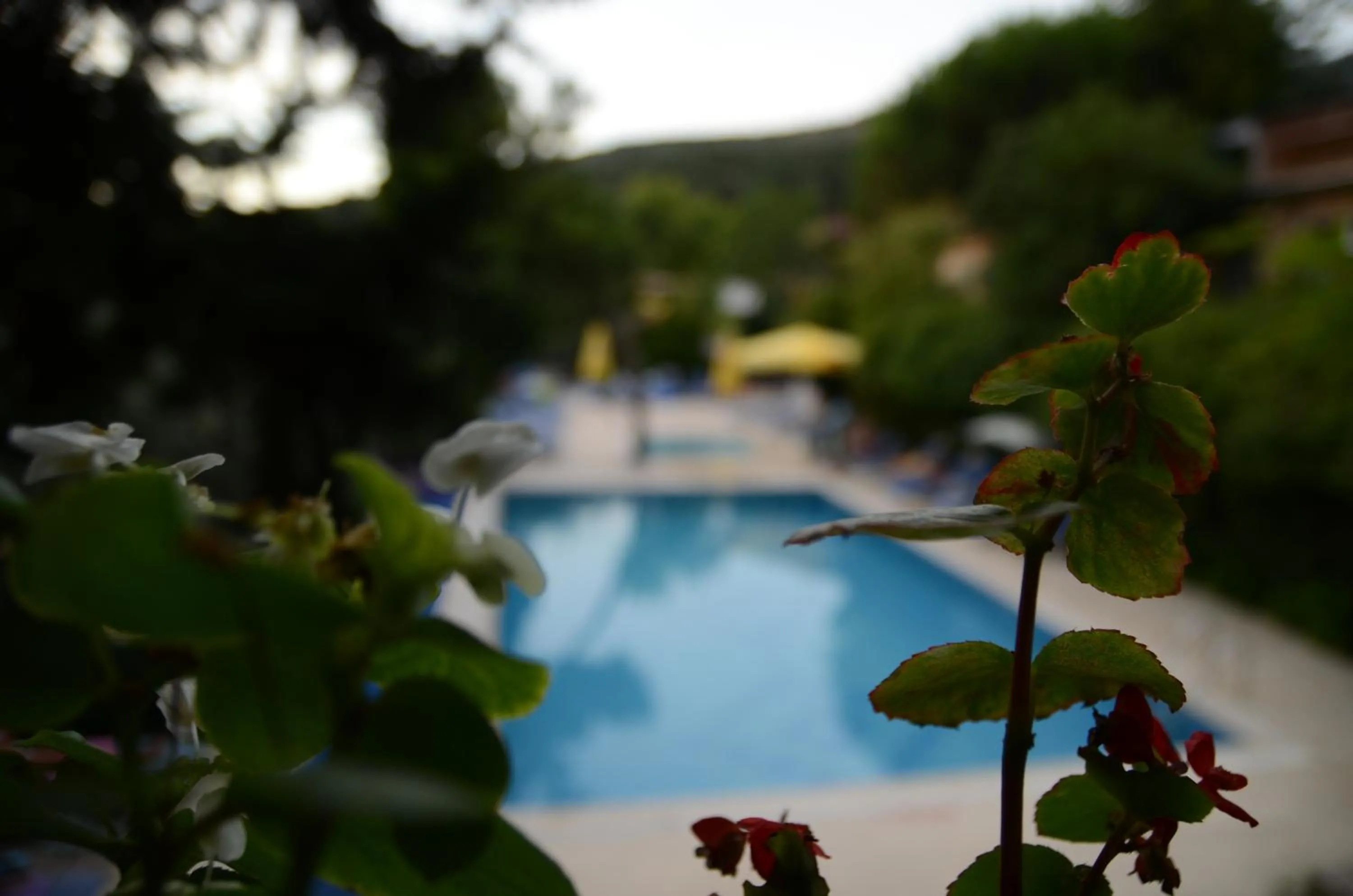 Pool view in Atamer Doga Resort