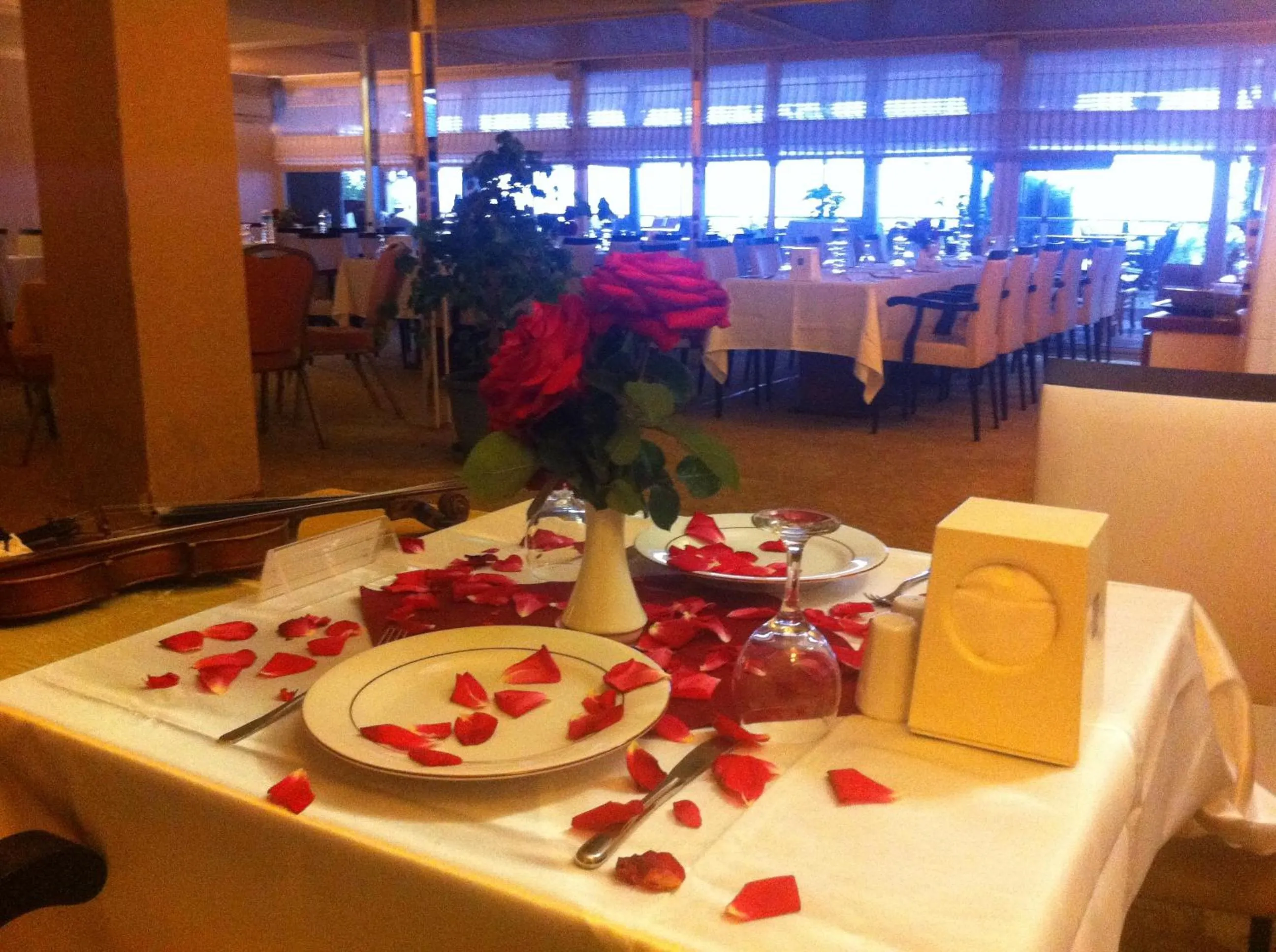 Restaurant/places to eat in Atamer Doga Resort