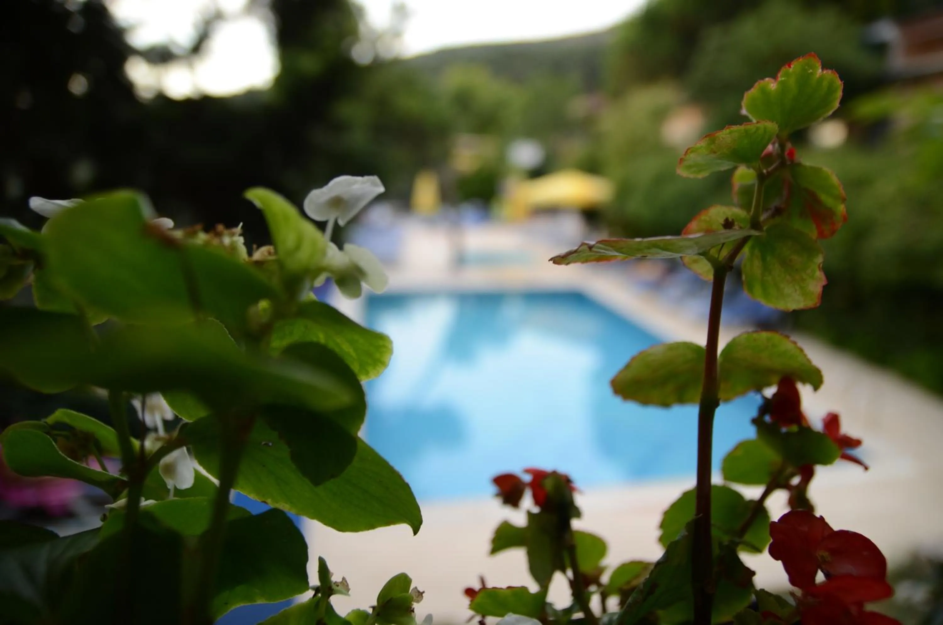 Day in Atamer Doga Resort