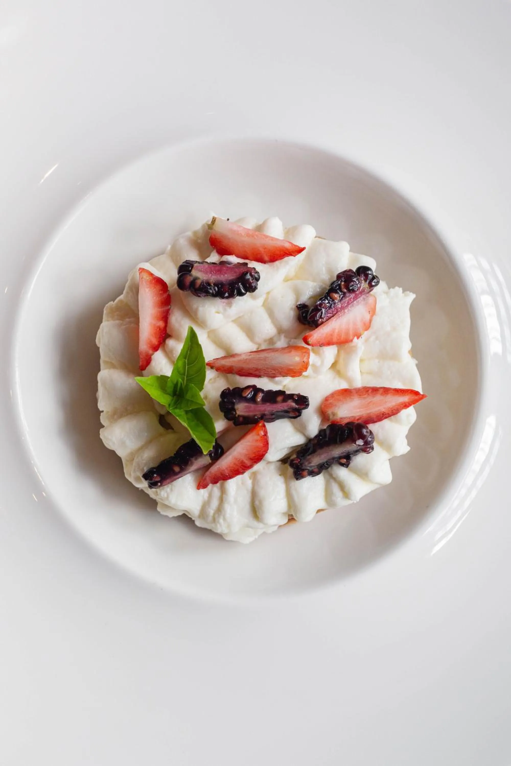 Food in Ya'ax Hotel Boutique