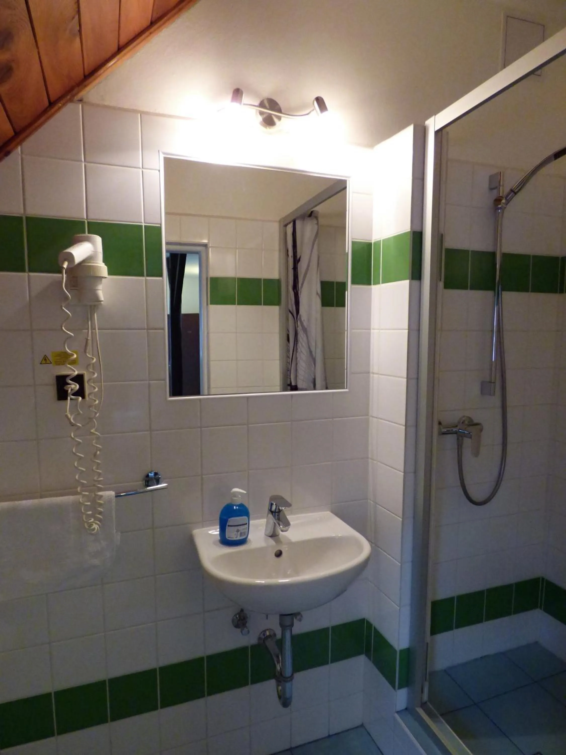 Shower in Hotel Svornost
