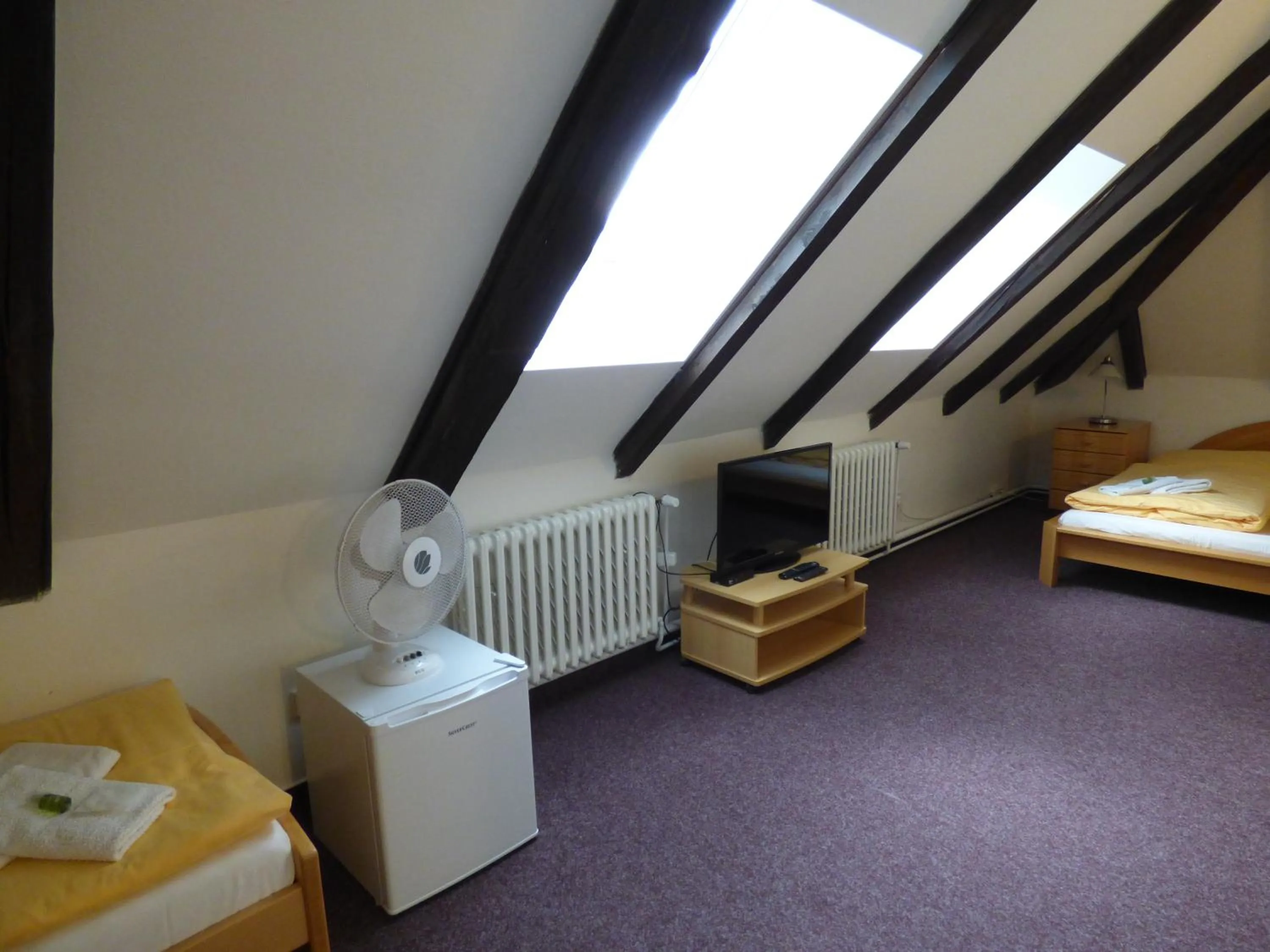 TV and multimedia, Bed in Hotel Svornost