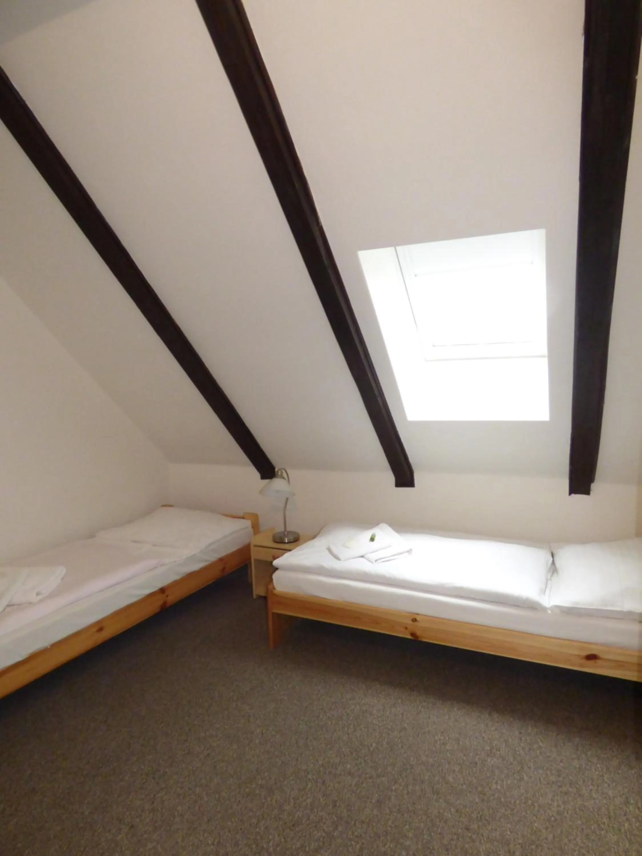 Bed in Hotel Svornost