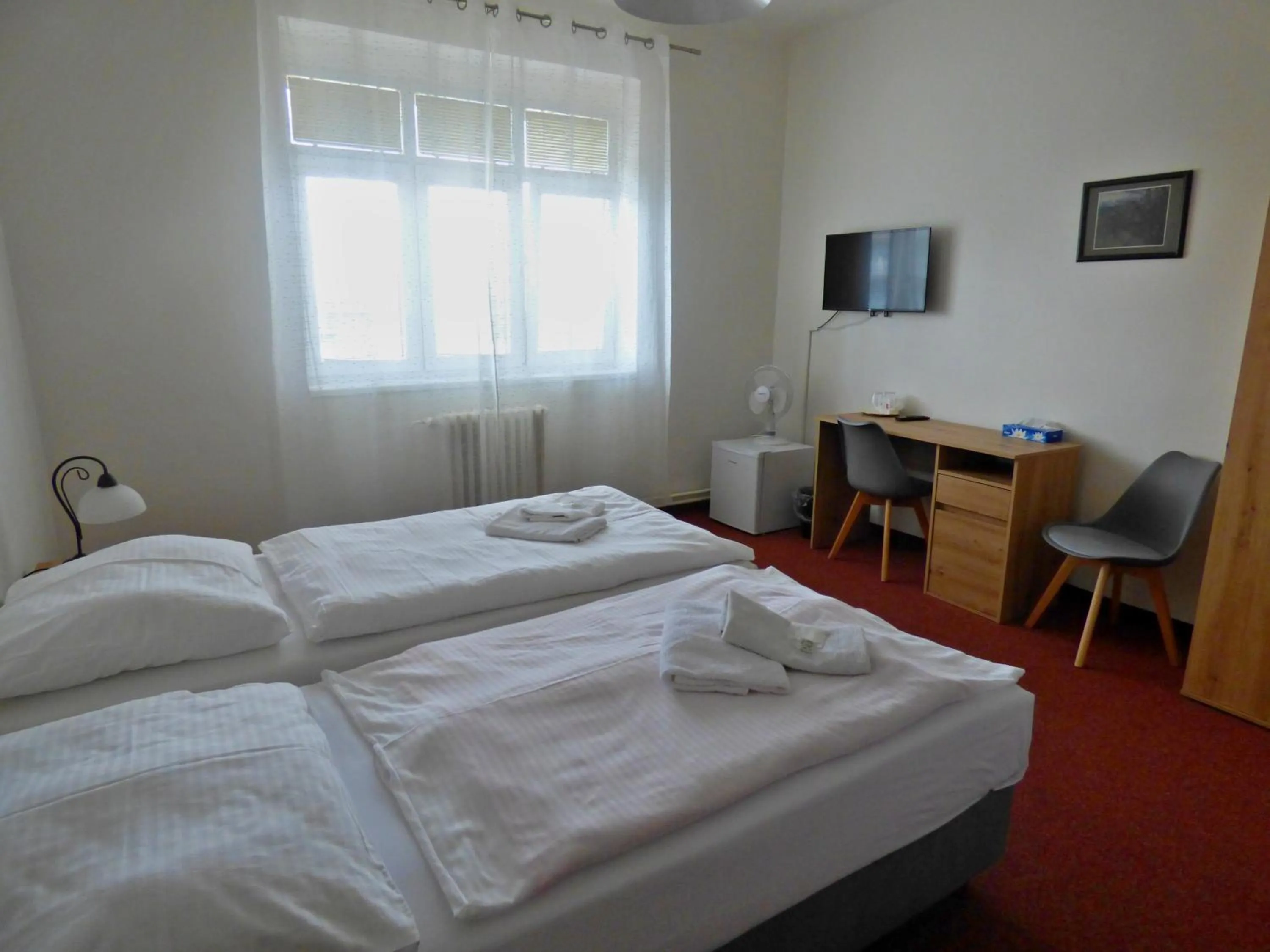 Bed in Hotel Svornost