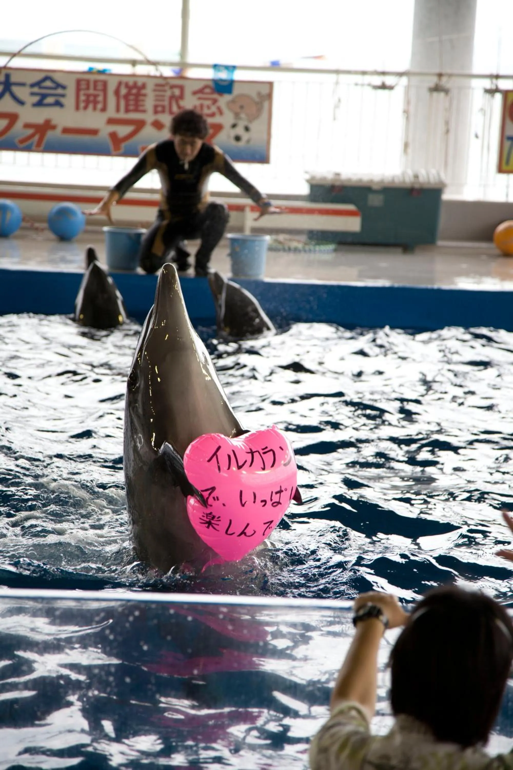 Property building in Shibushiwan Daikoku Resort Hotel