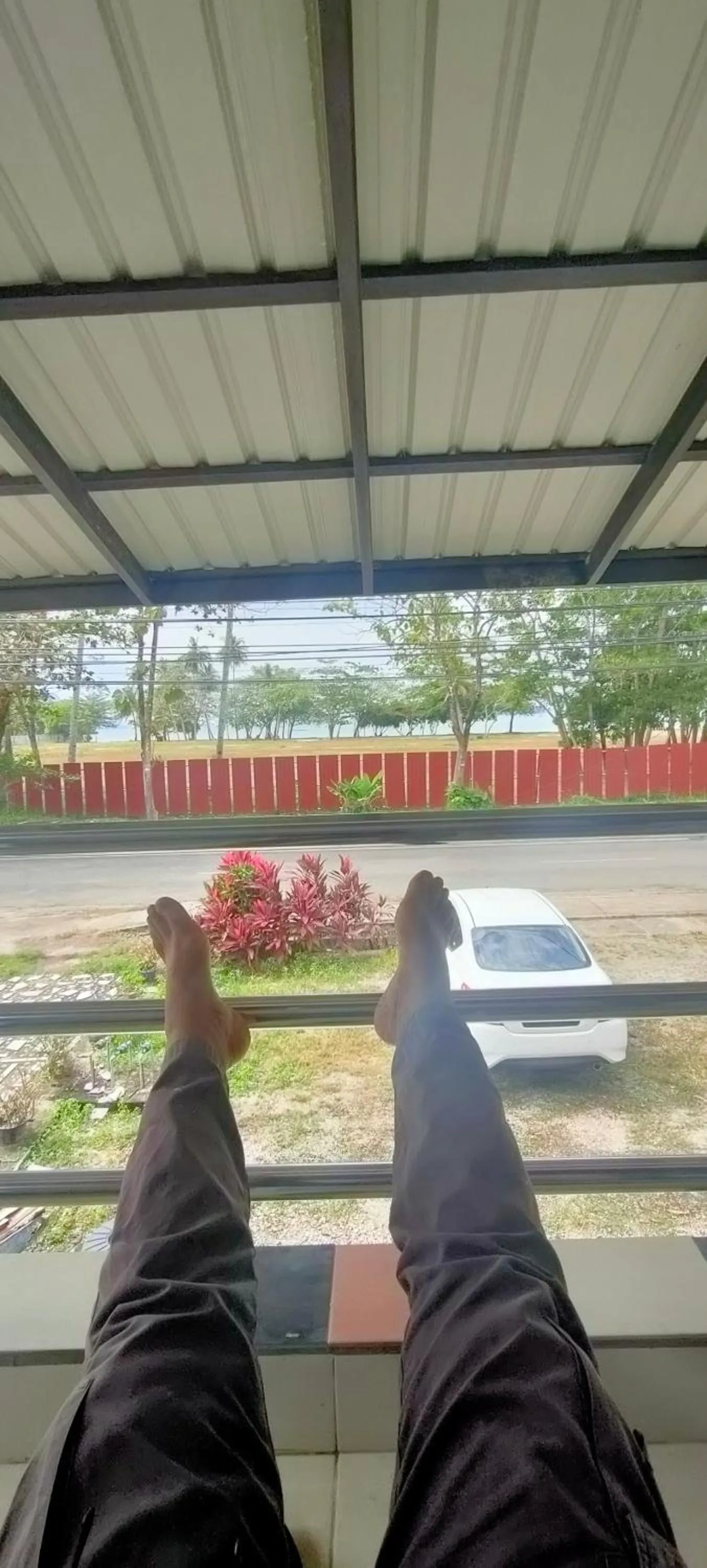 DAOH'S Rooms & Scooters